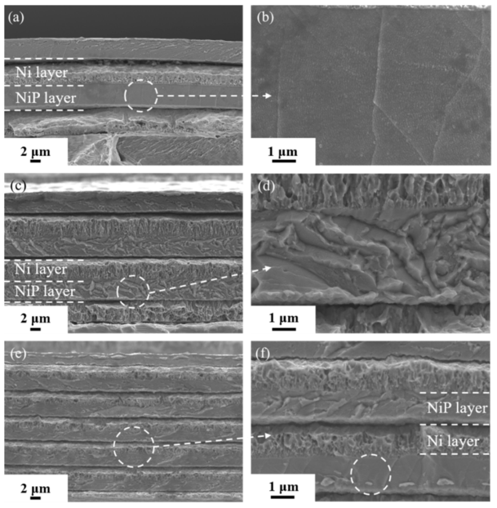 Coatings 11 00834 g005