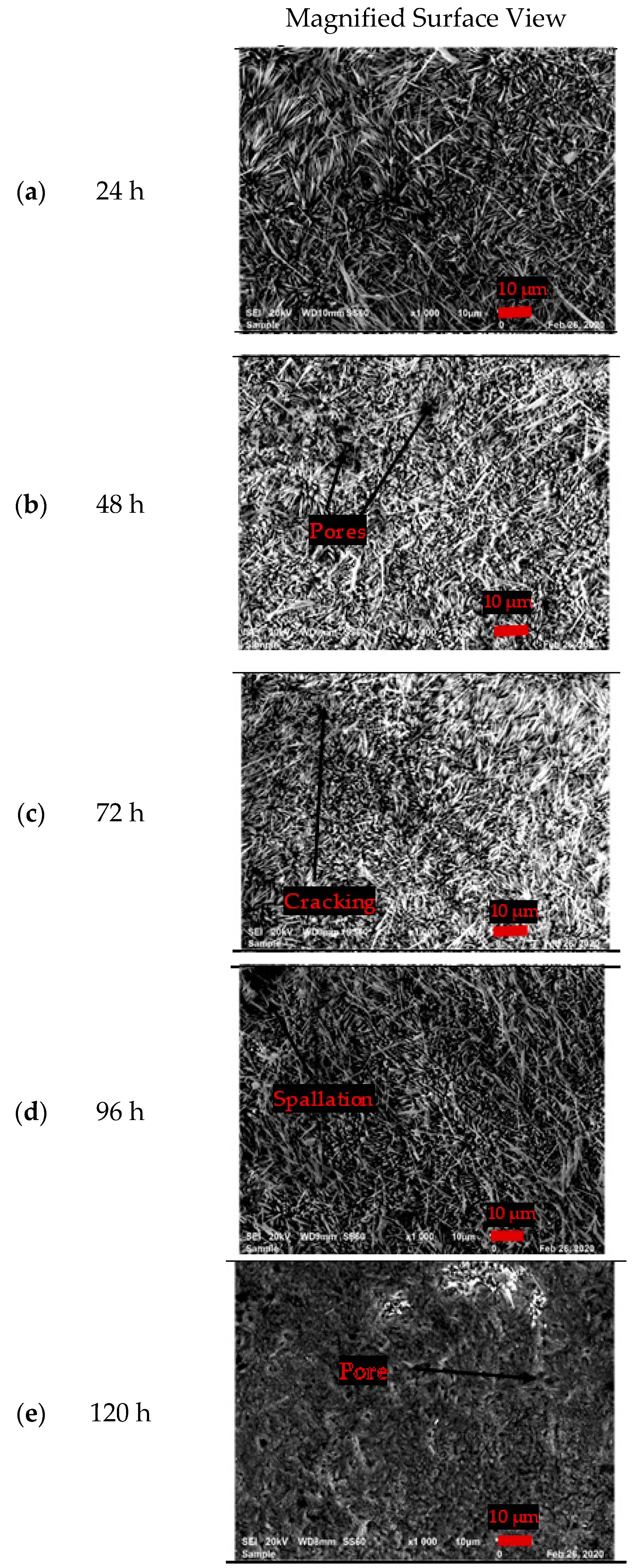 Coatings 11 00843 g005