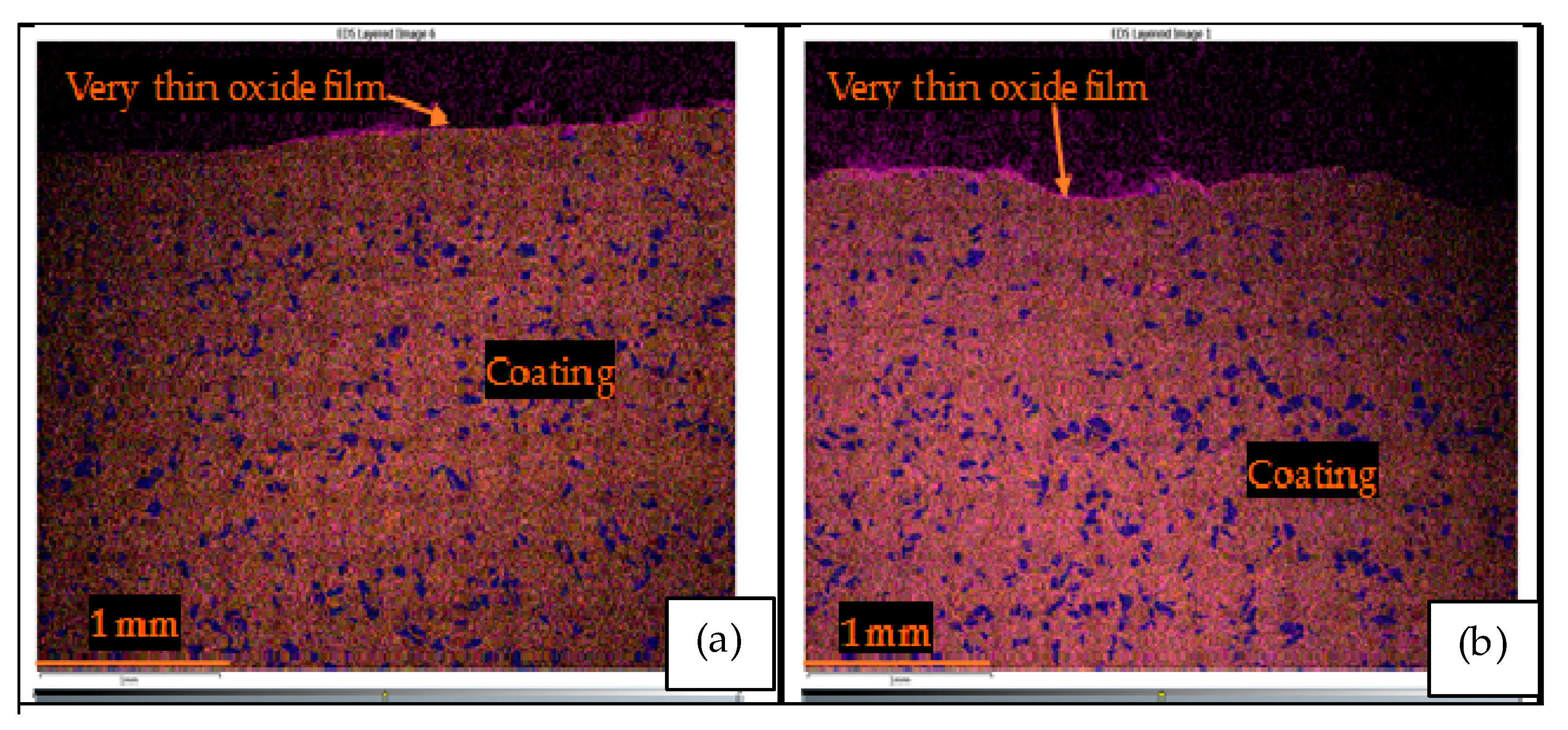 Coatings 11 00843 g009