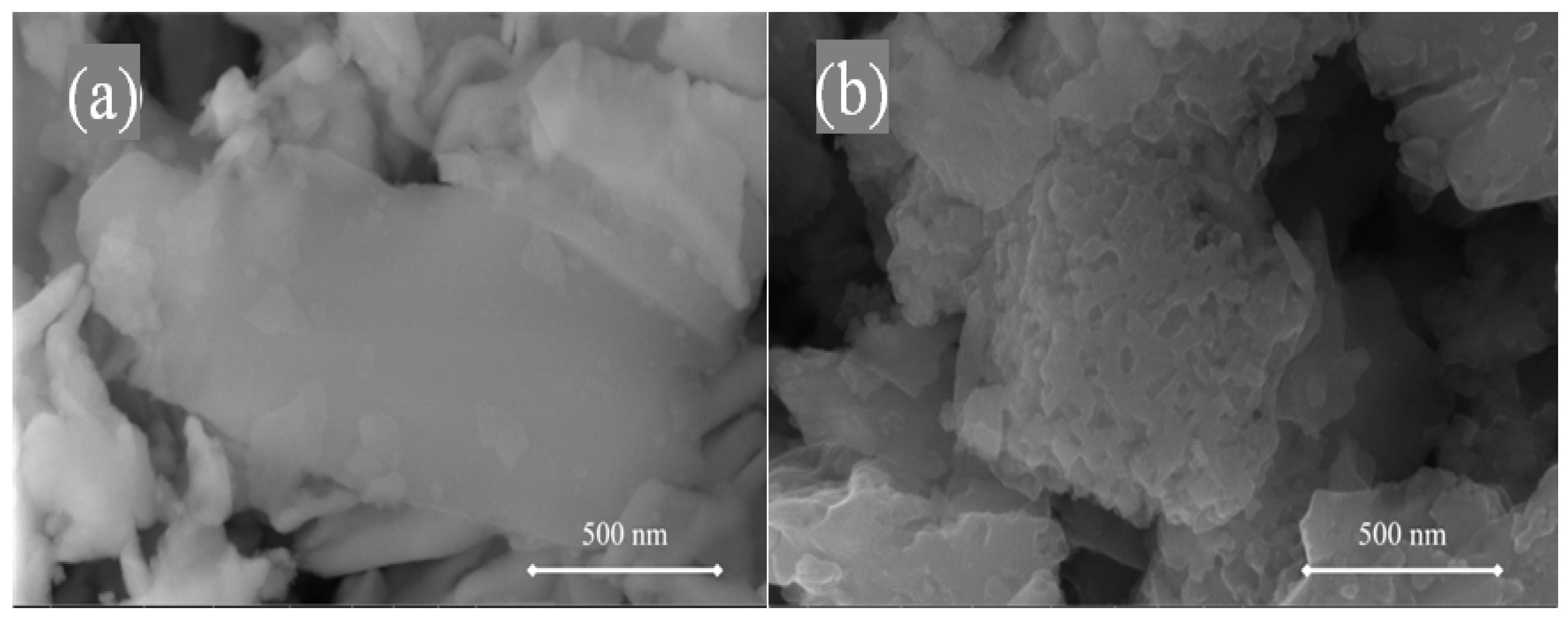 Coatings 11 00850 g001