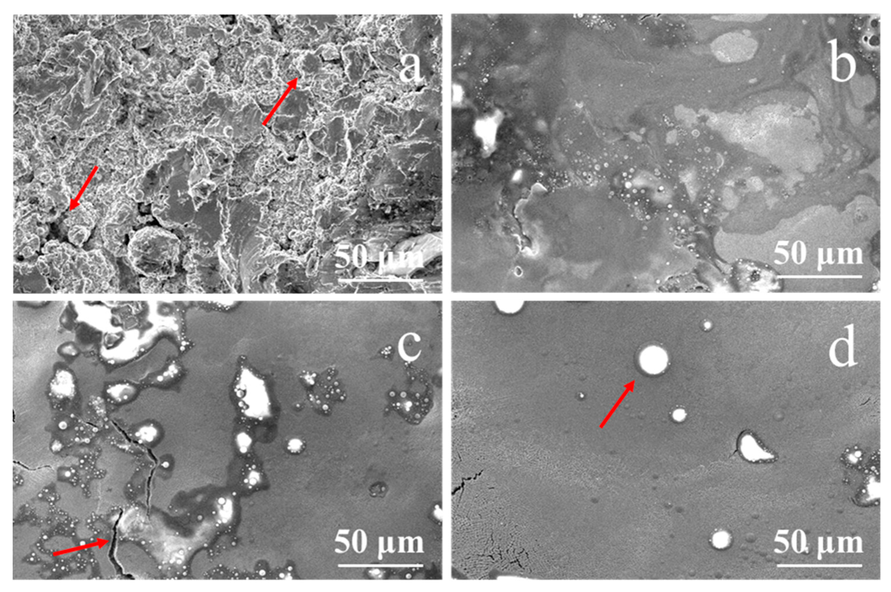 Coatings 11 00912 g002