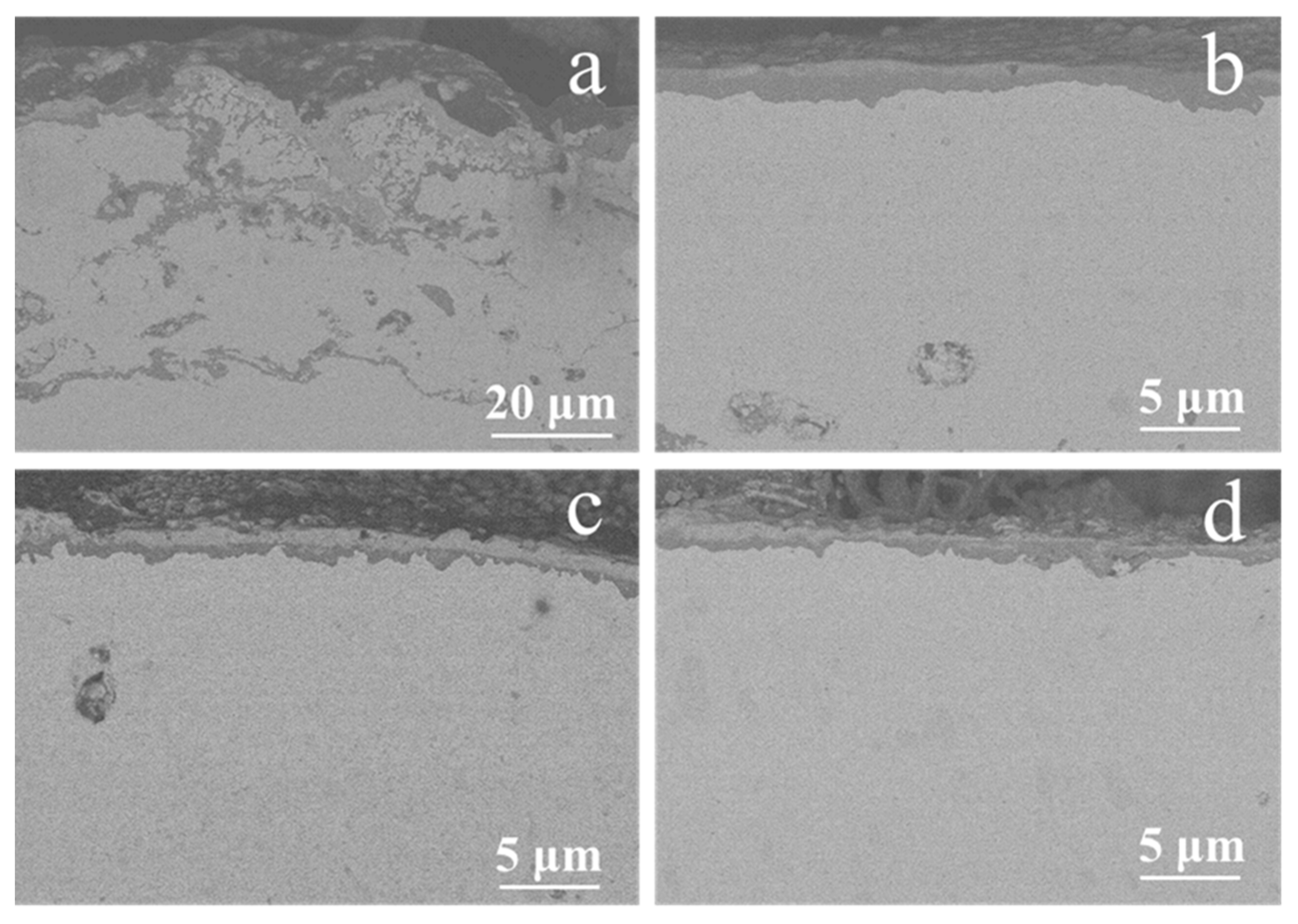 Coatings 11 00912 g006