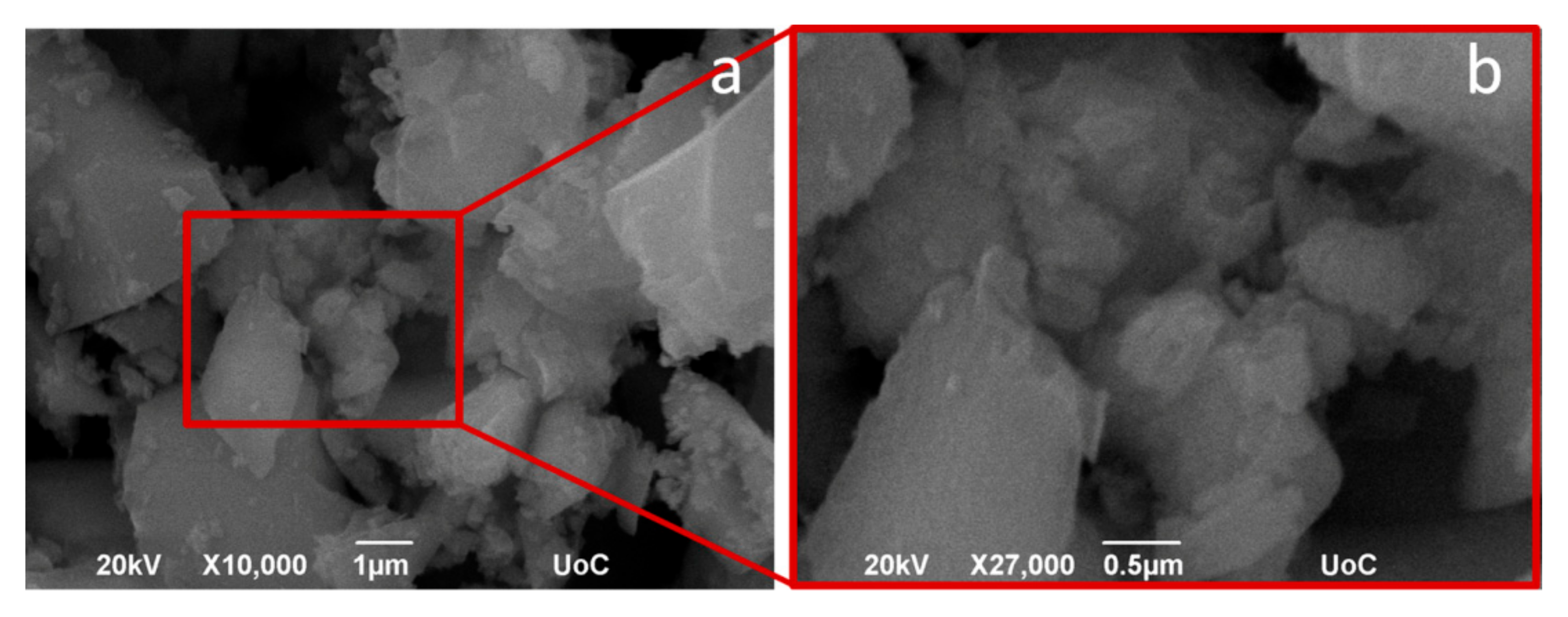 Coatings 11 00934 g006