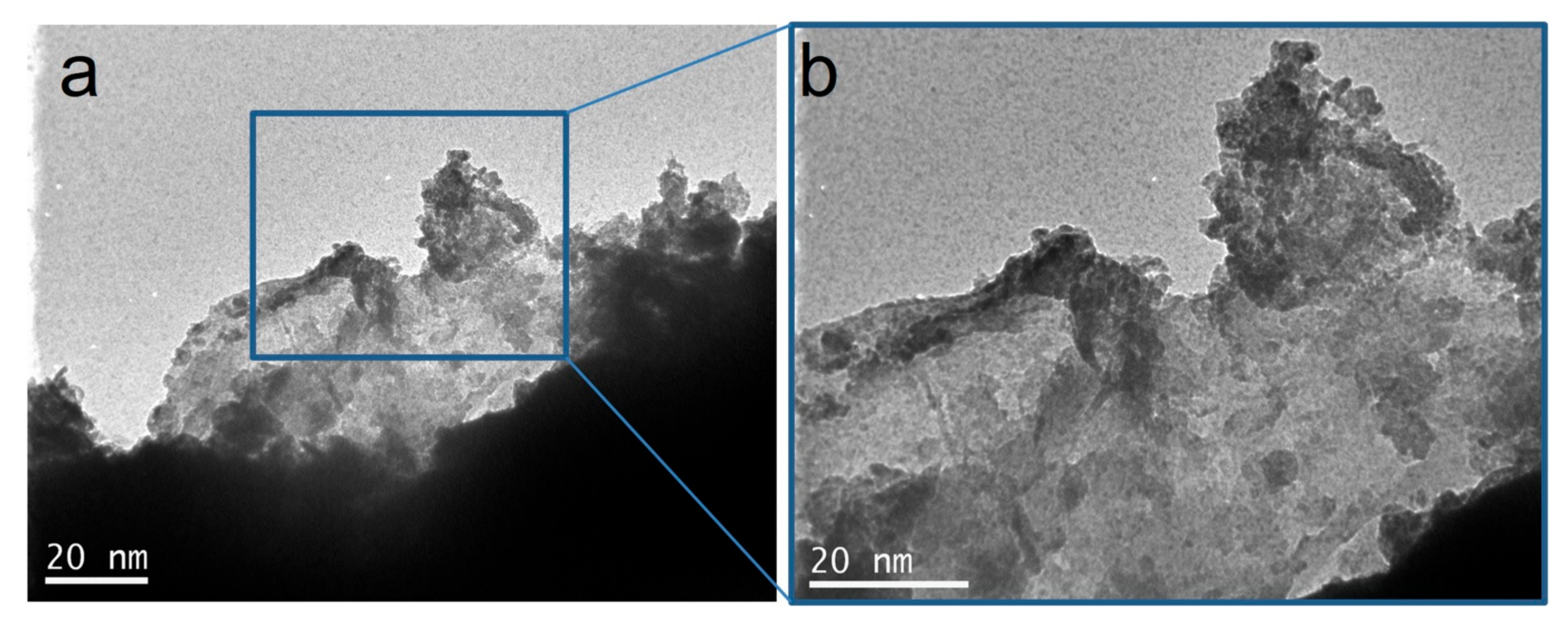 Coatings 11 00934 g008