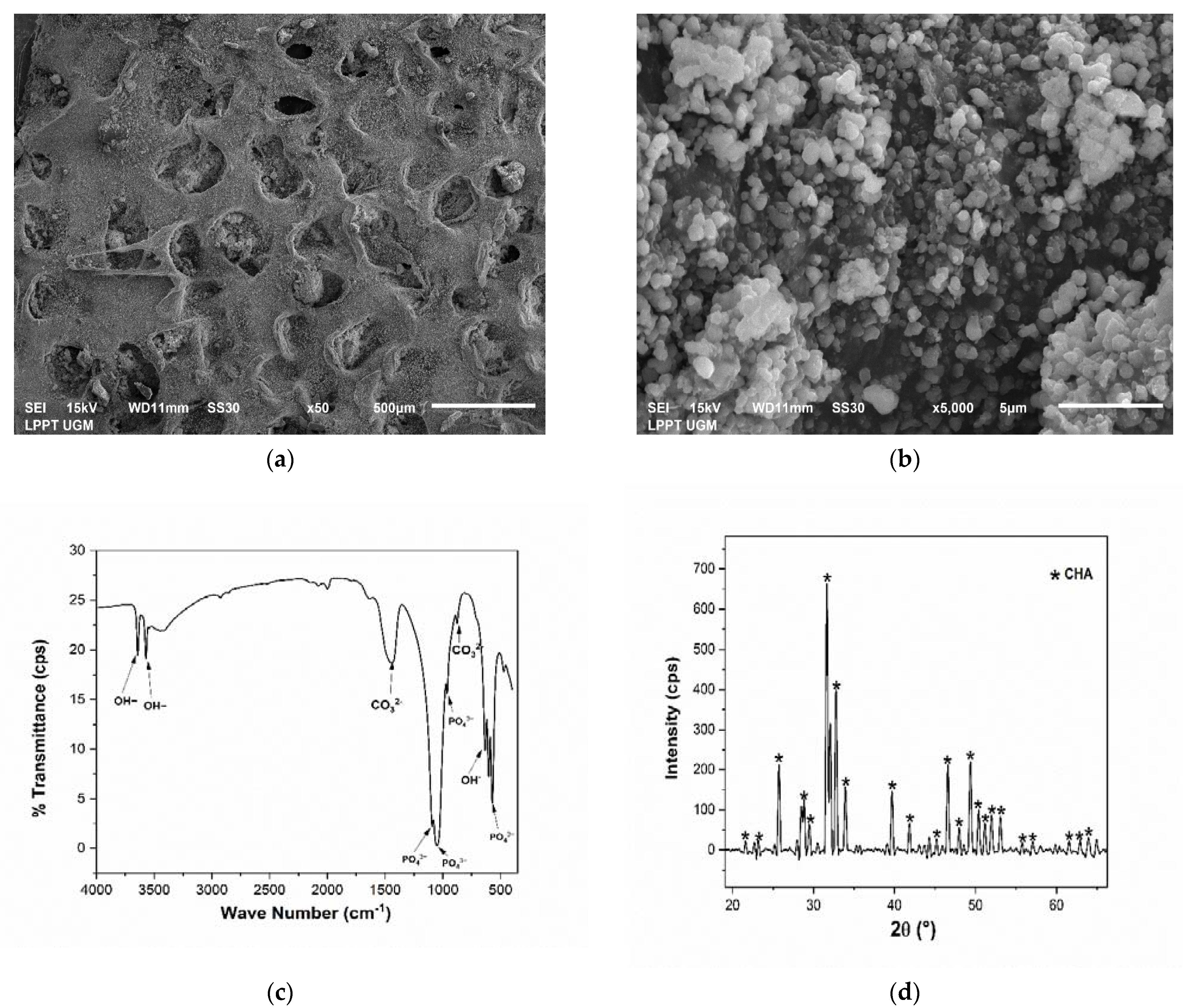 Coatings 11 00941 g005