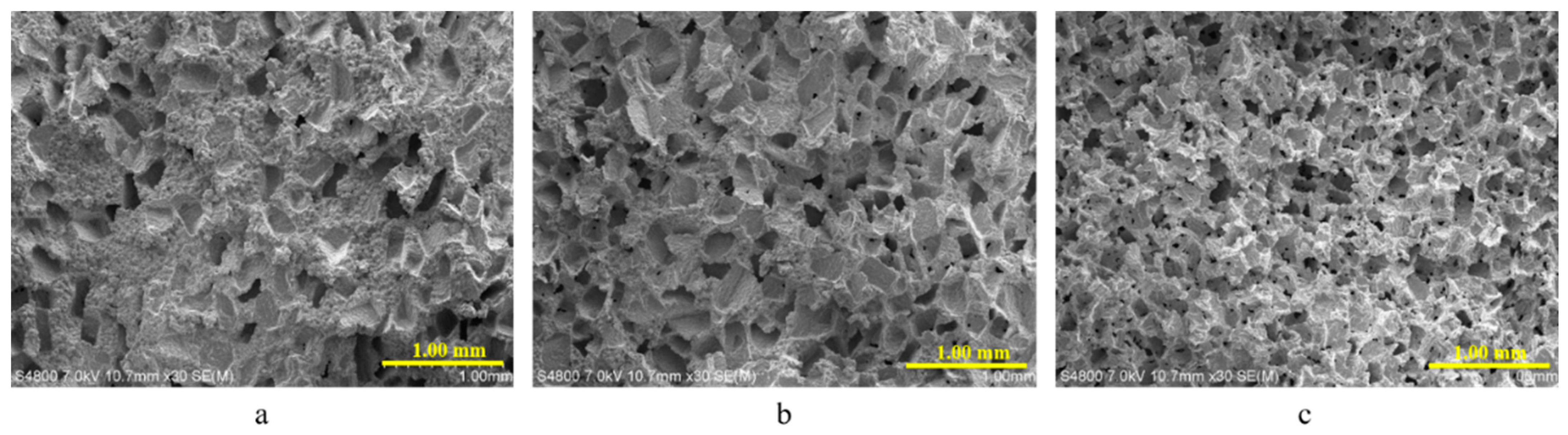 Coatings 11 00949 g001