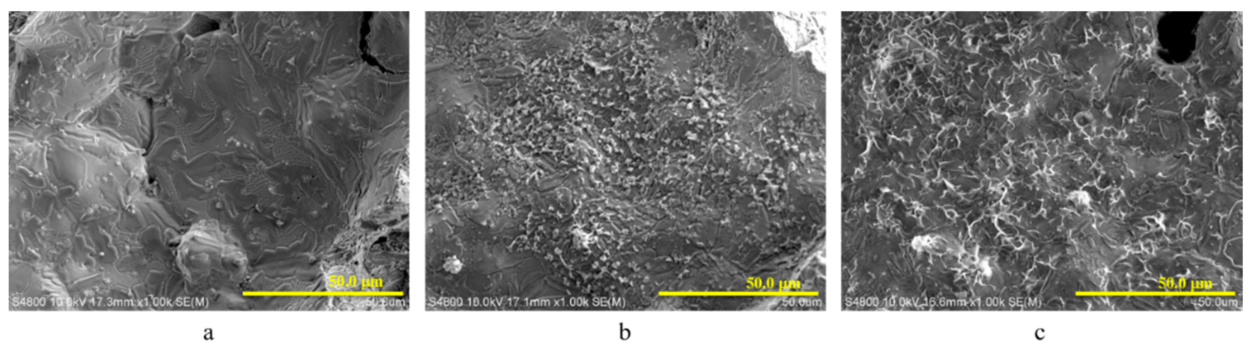Coatings 11 00949 g002