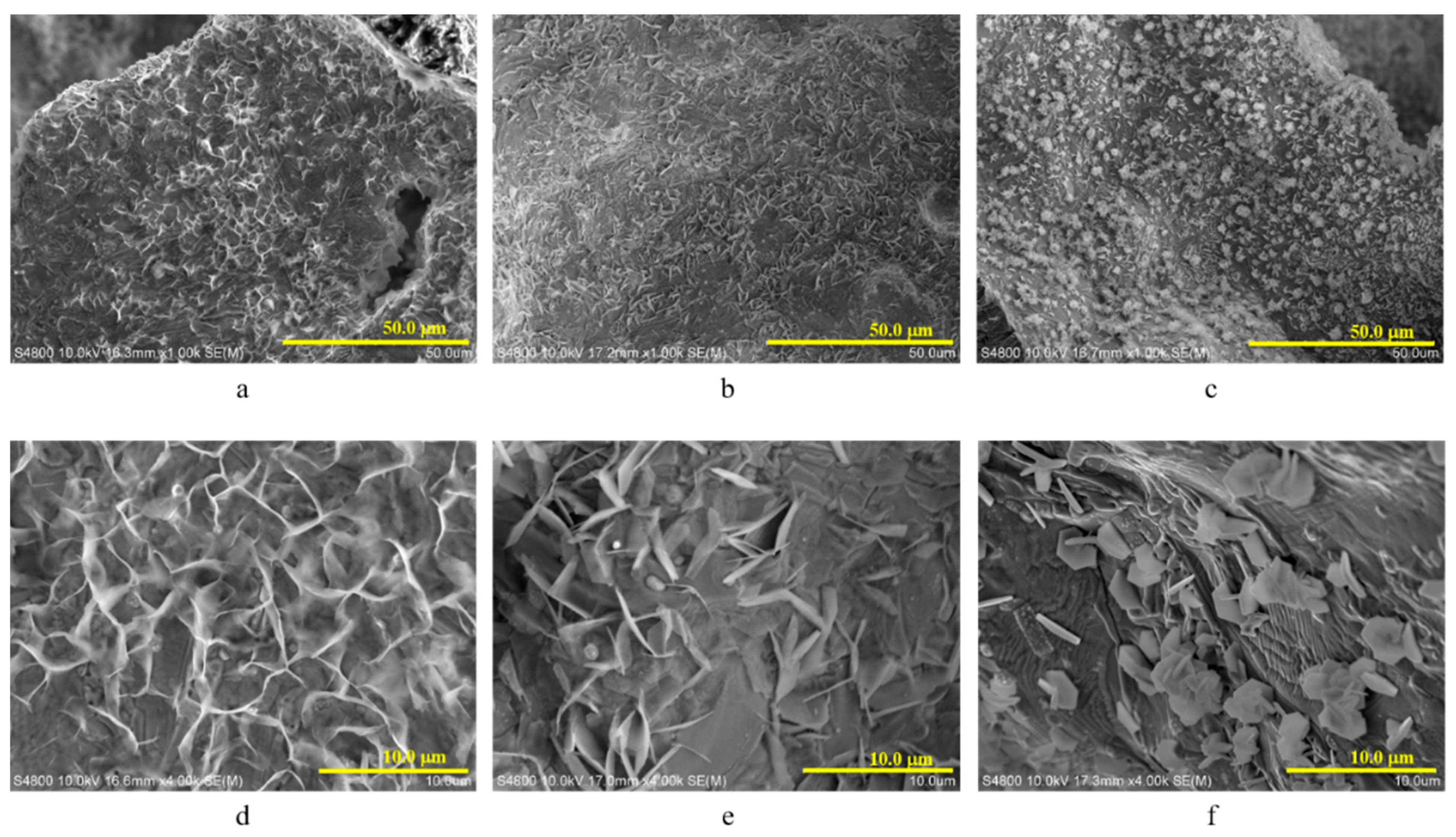 Coatings 11 00949 g003