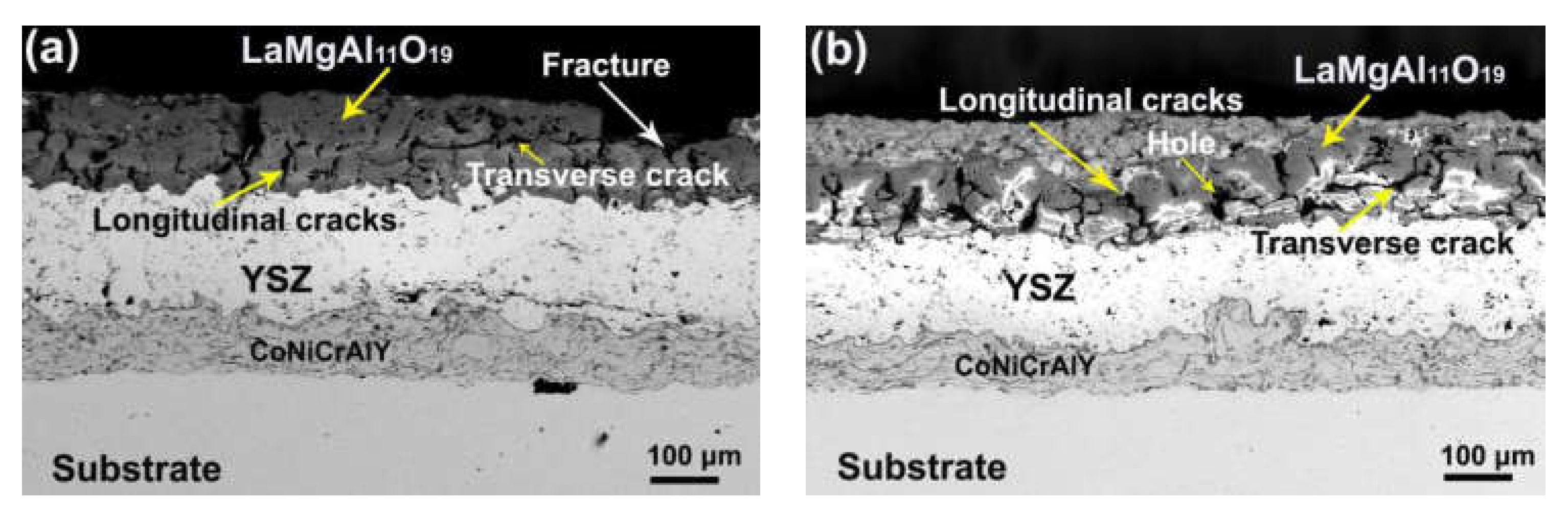 Coatings 11 00951 g005a