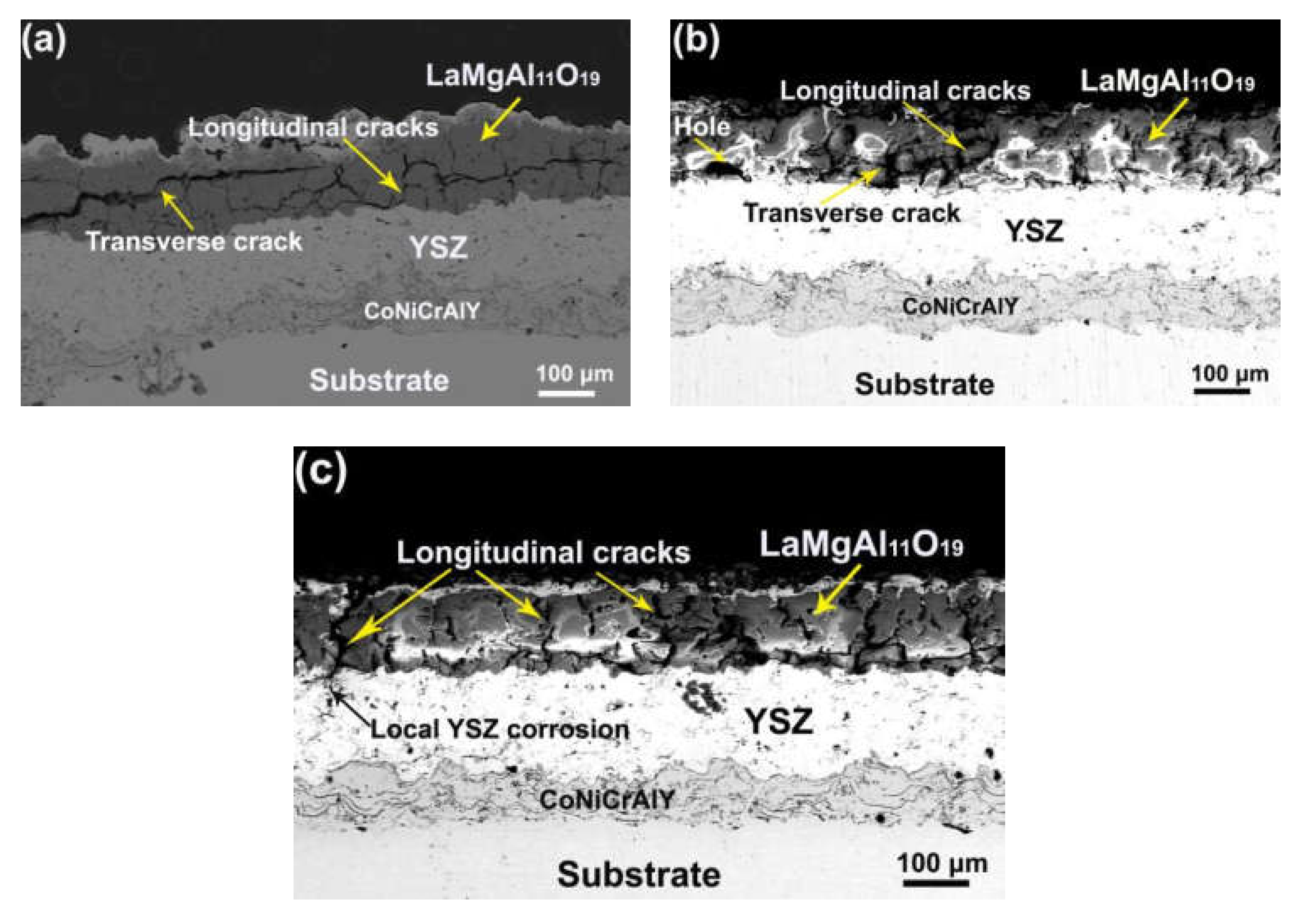 Coatings 11 00951 g006