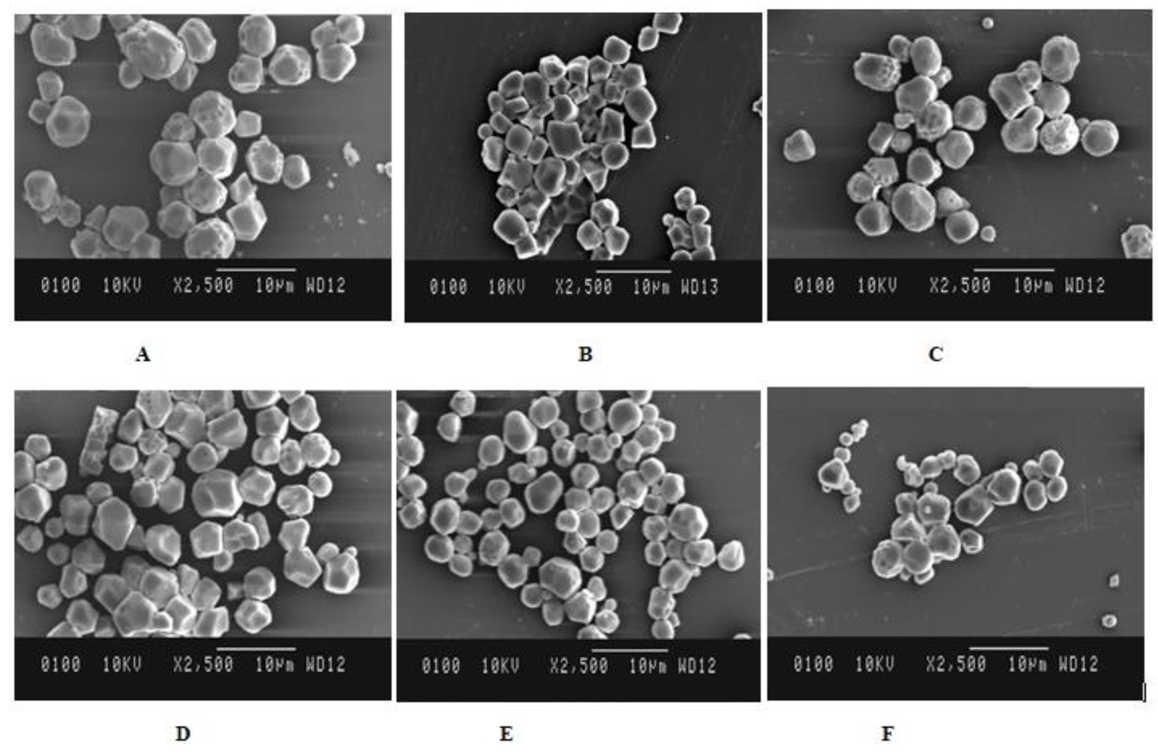 Coatings 11 00954 g003