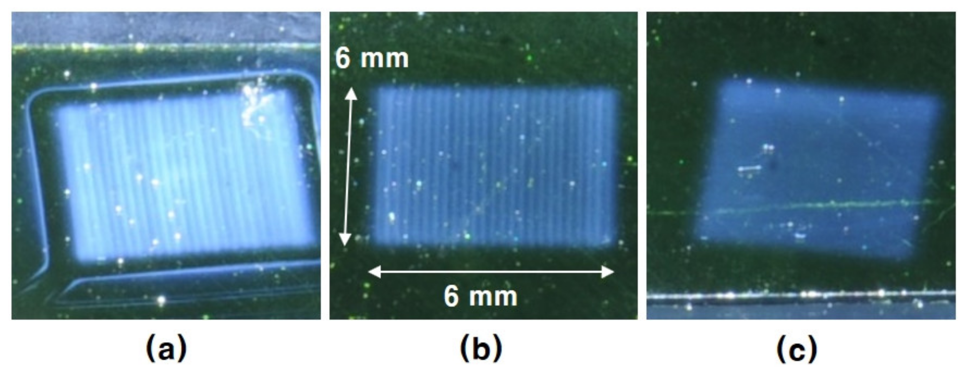 Coatings 11 00958 g005