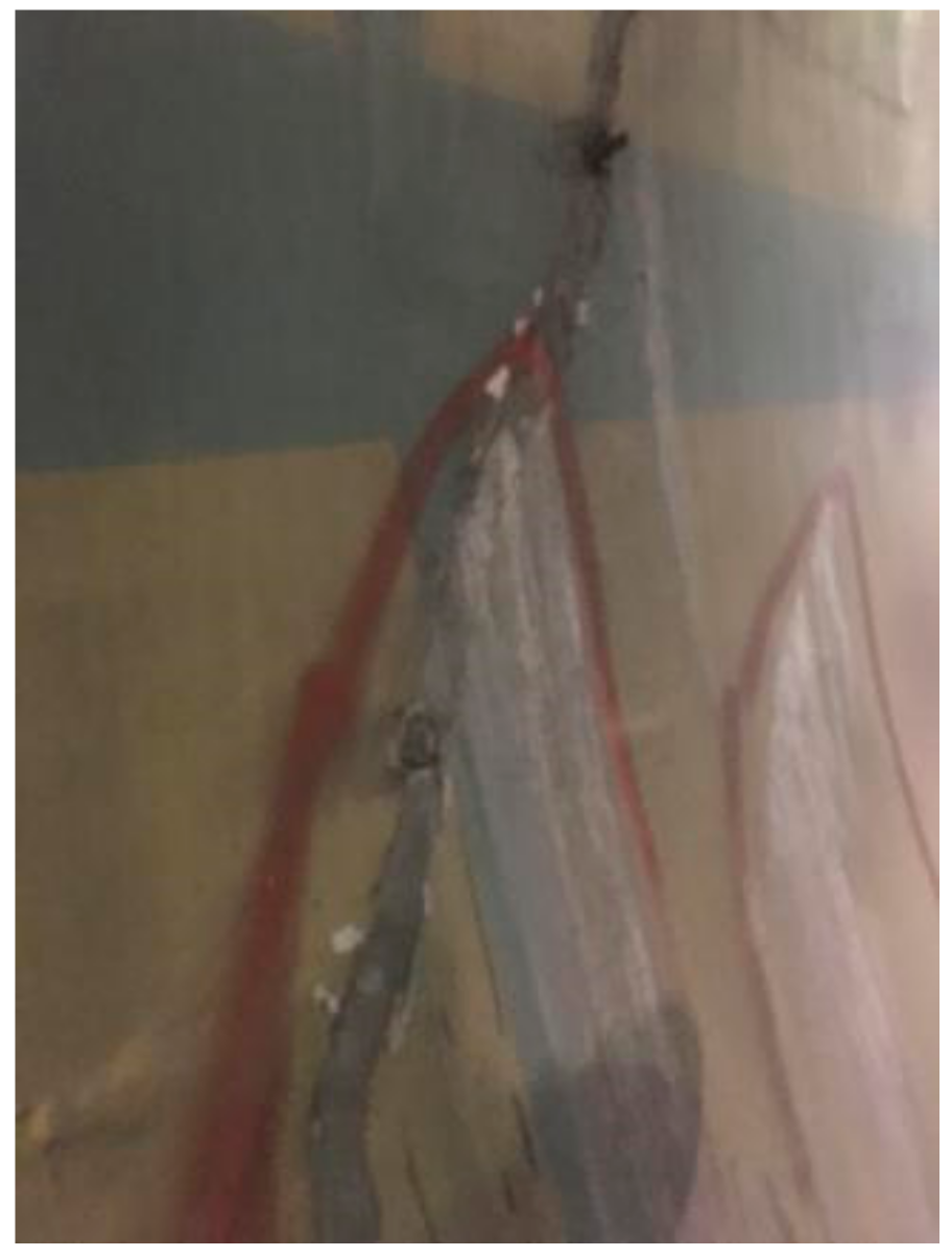 Coatings 11 00961 g002