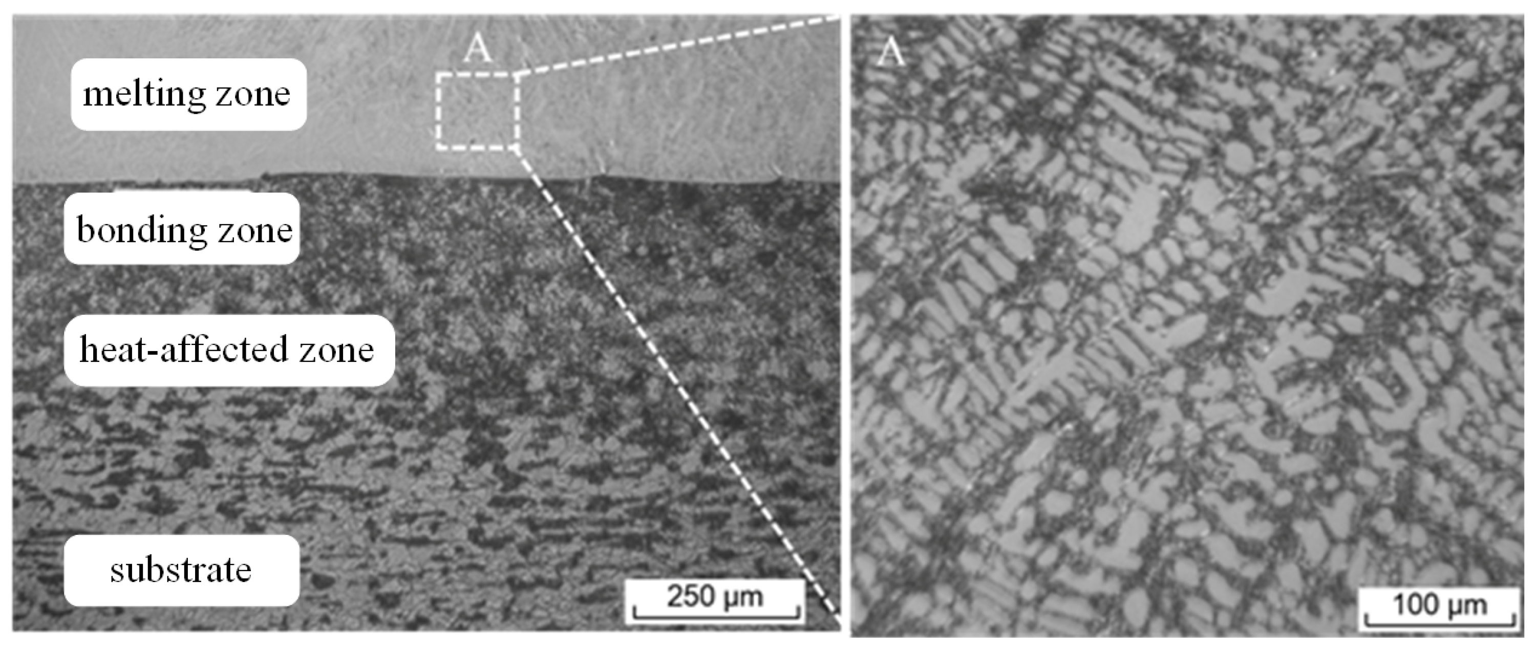 Coatings 11 00974 g001