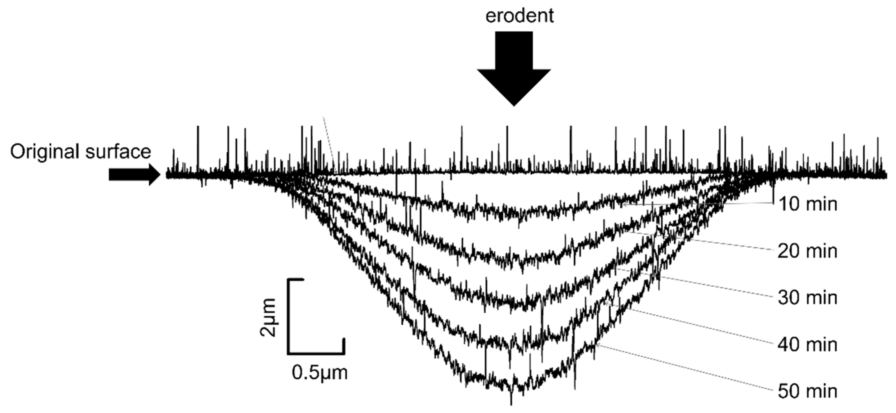 Coatings 11 00992 g003