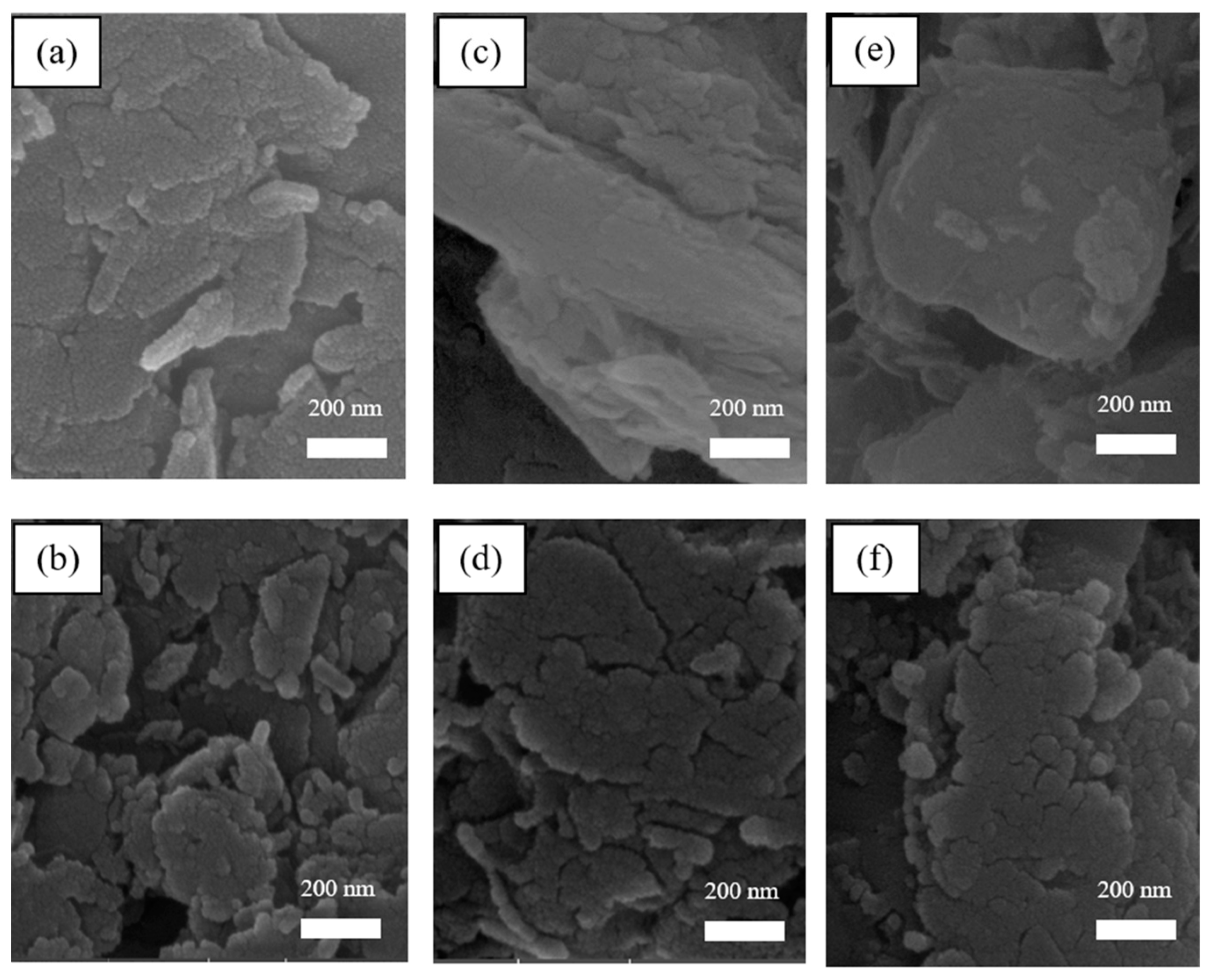 Coatings 11 00994 g009