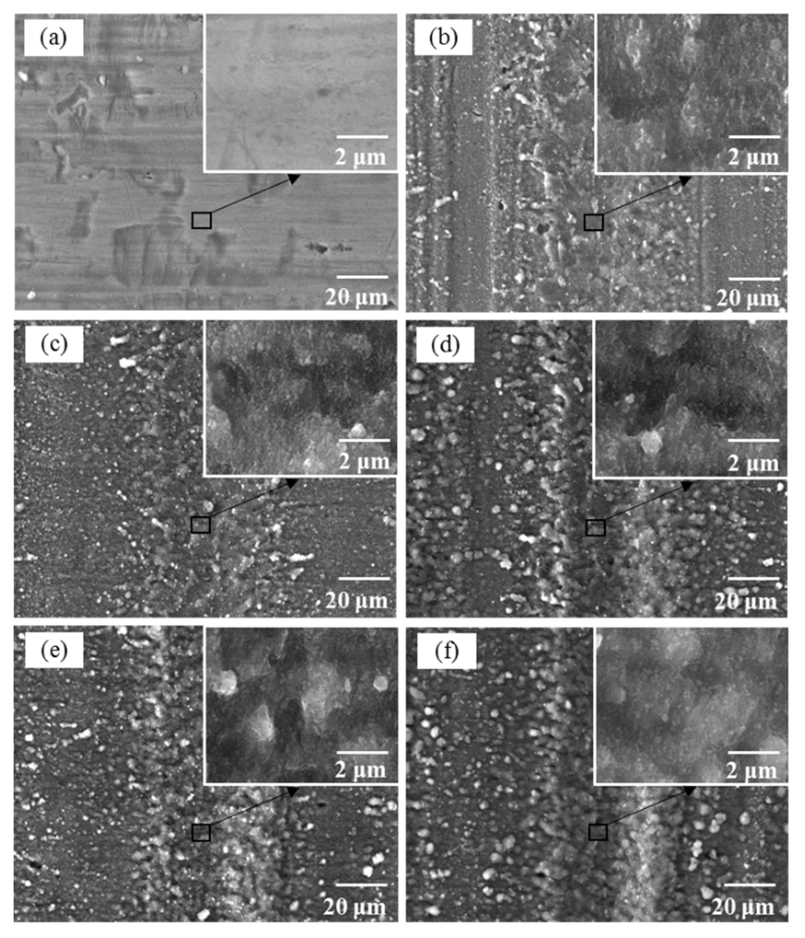 Coatings 11 00995 g006