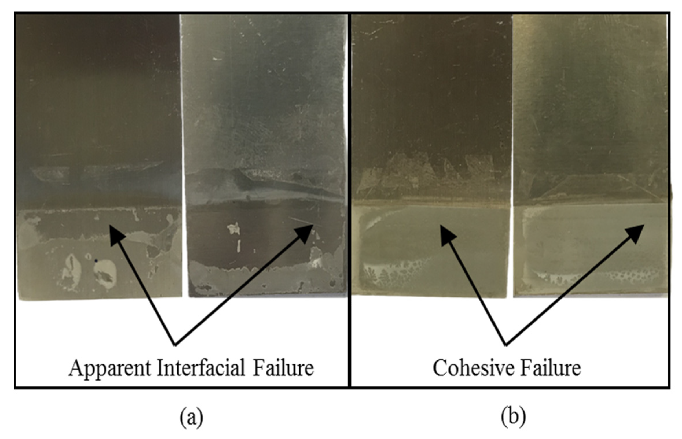 Coatings 11 00995 g008
