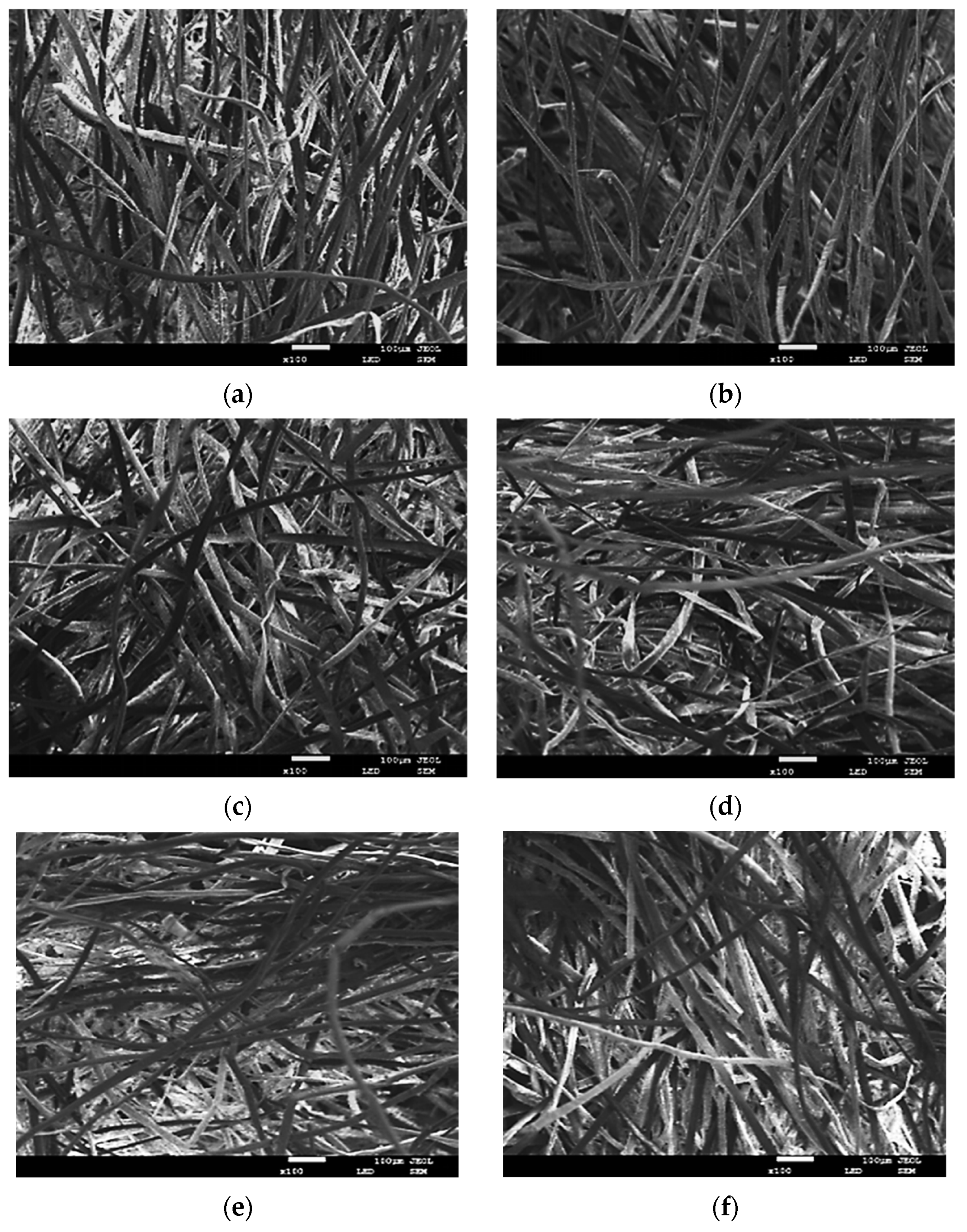 Coatings 11 01000 g005