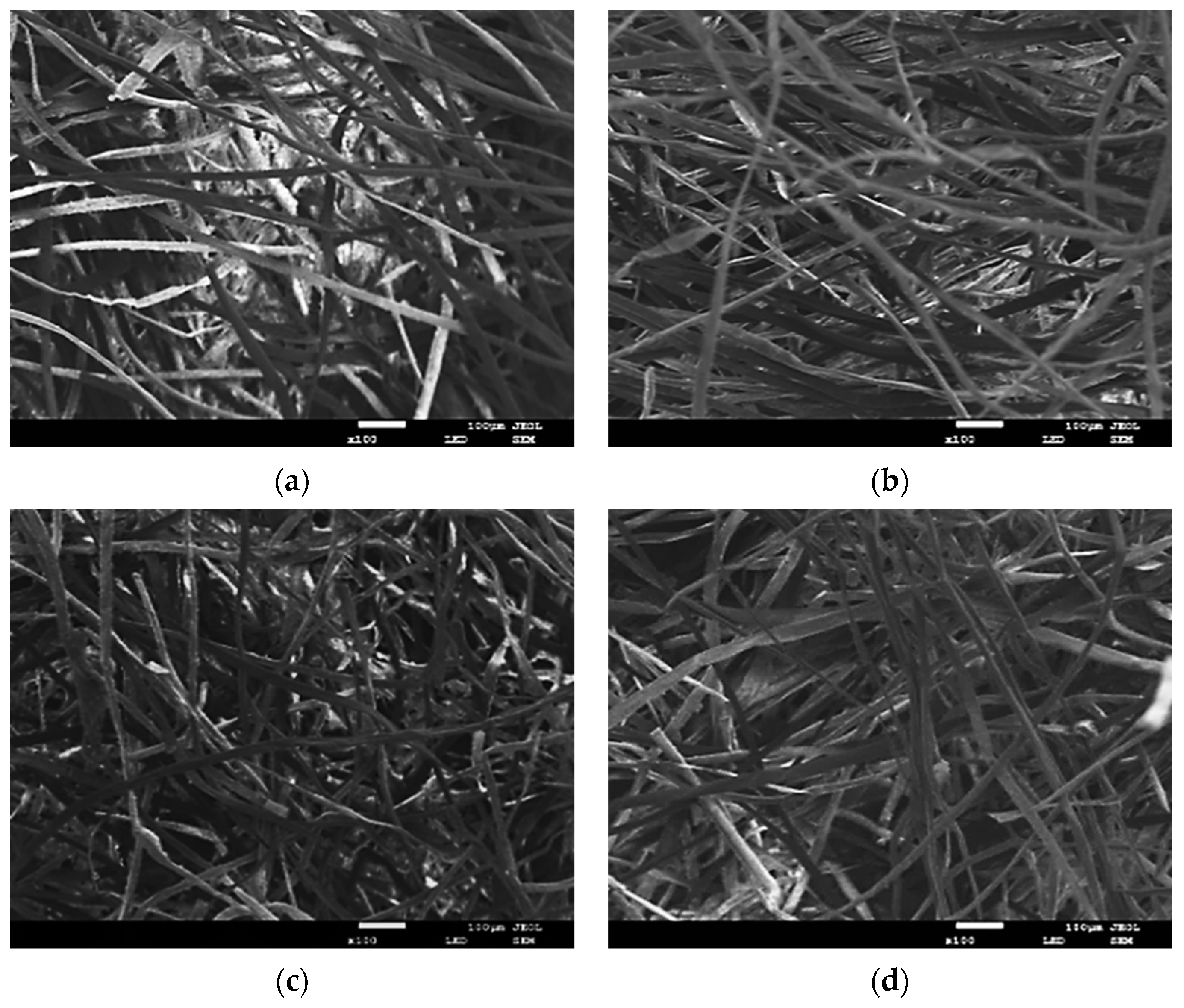 Coatings 11 01000 g006