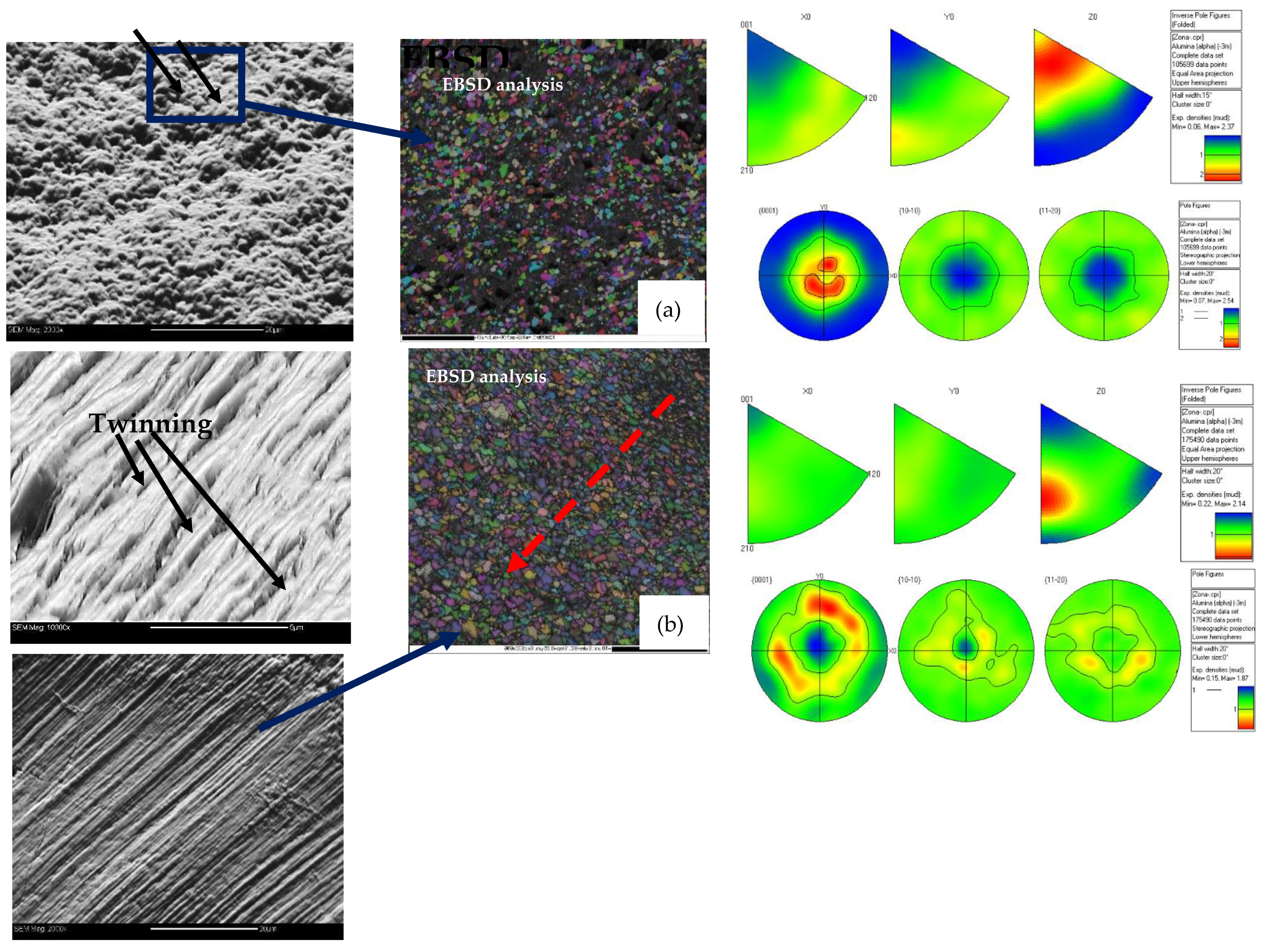 Coatings 11 01002 g008
