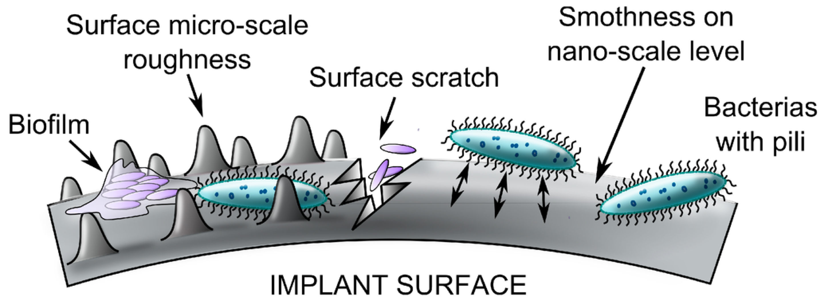 Frontiers  Antibacterial intraosseous implant surface coating that  responds to changes in the bacterial microenvironment
