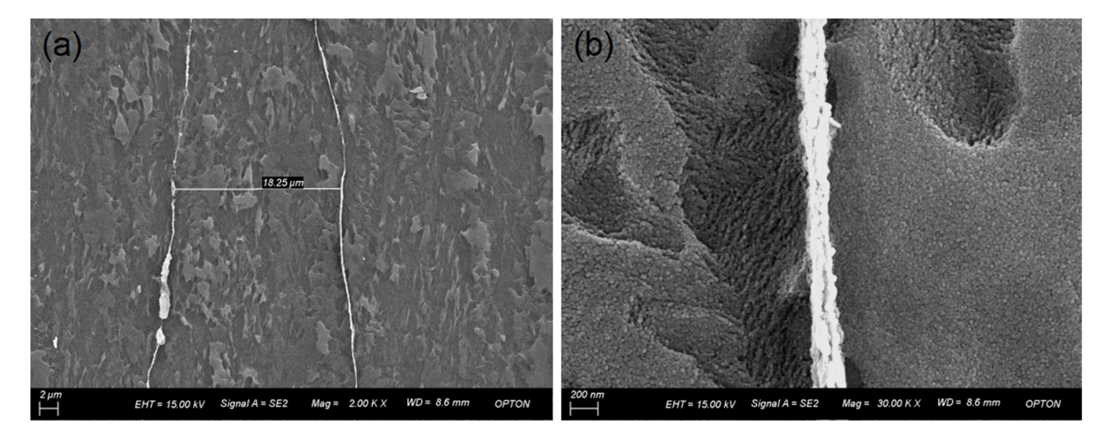 Coatings 11 01030 g006