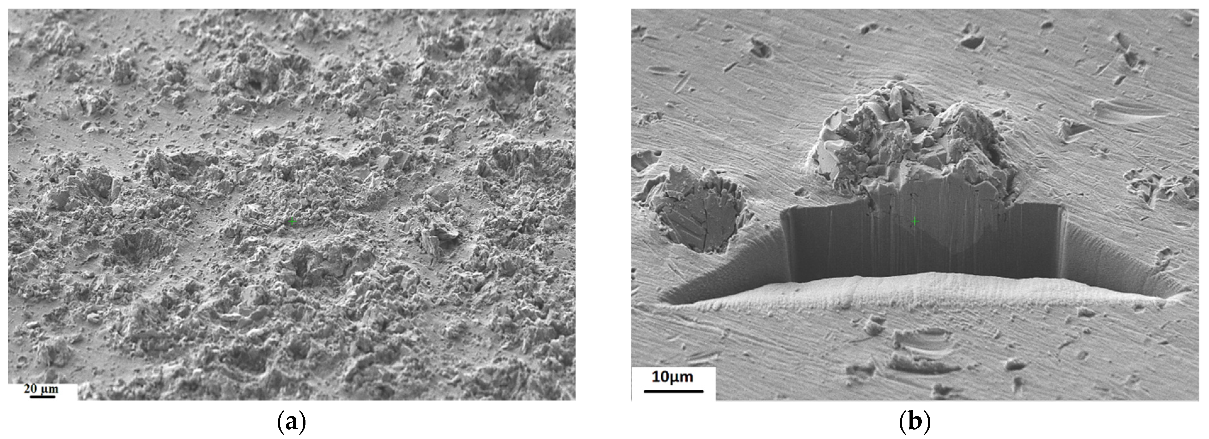 Coatings 11 01038 g009