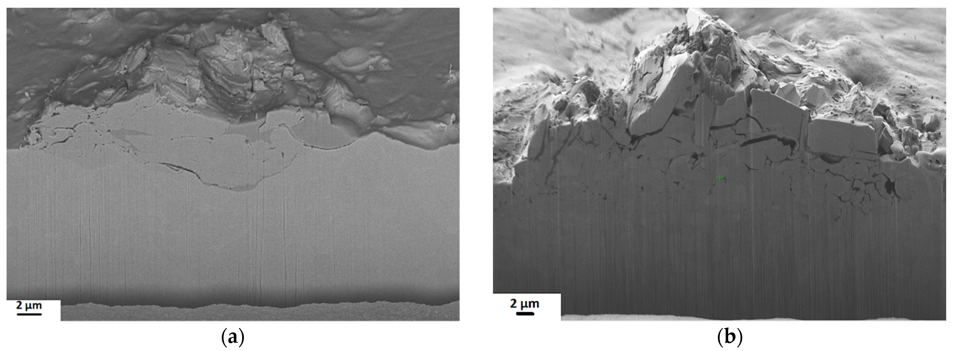 Coatings 11 01038 g010