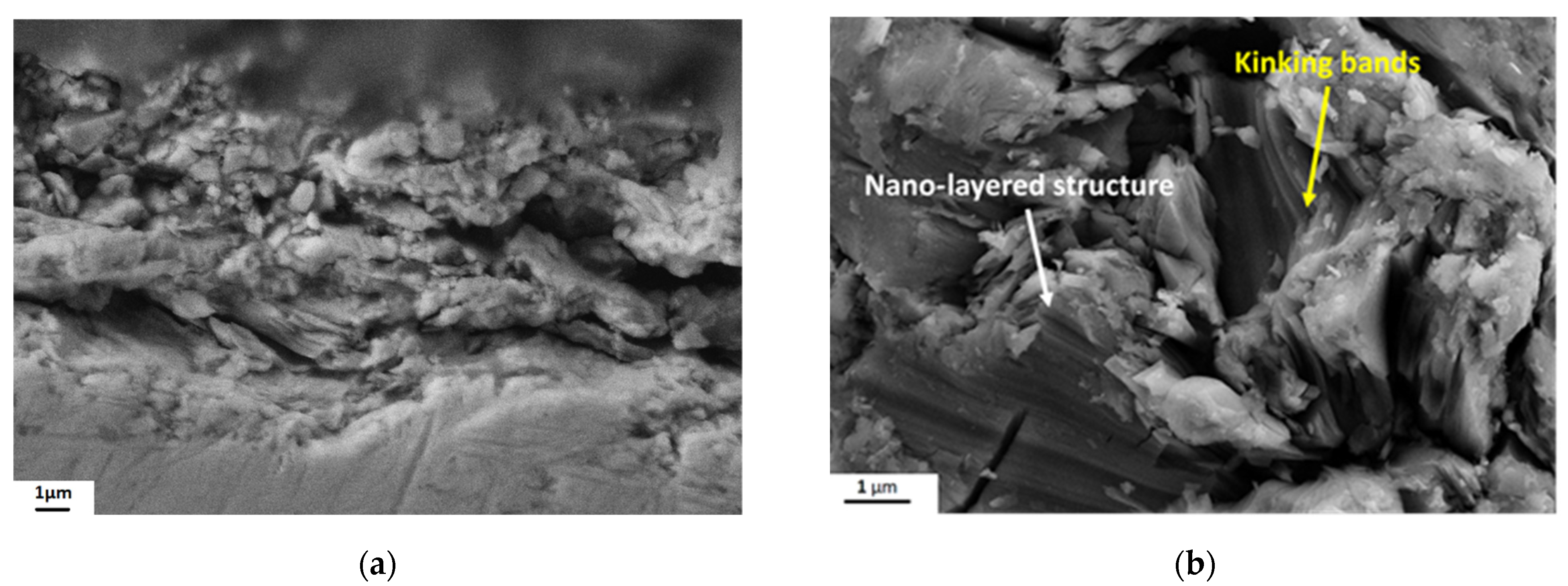 Coatings 11 01038 g012