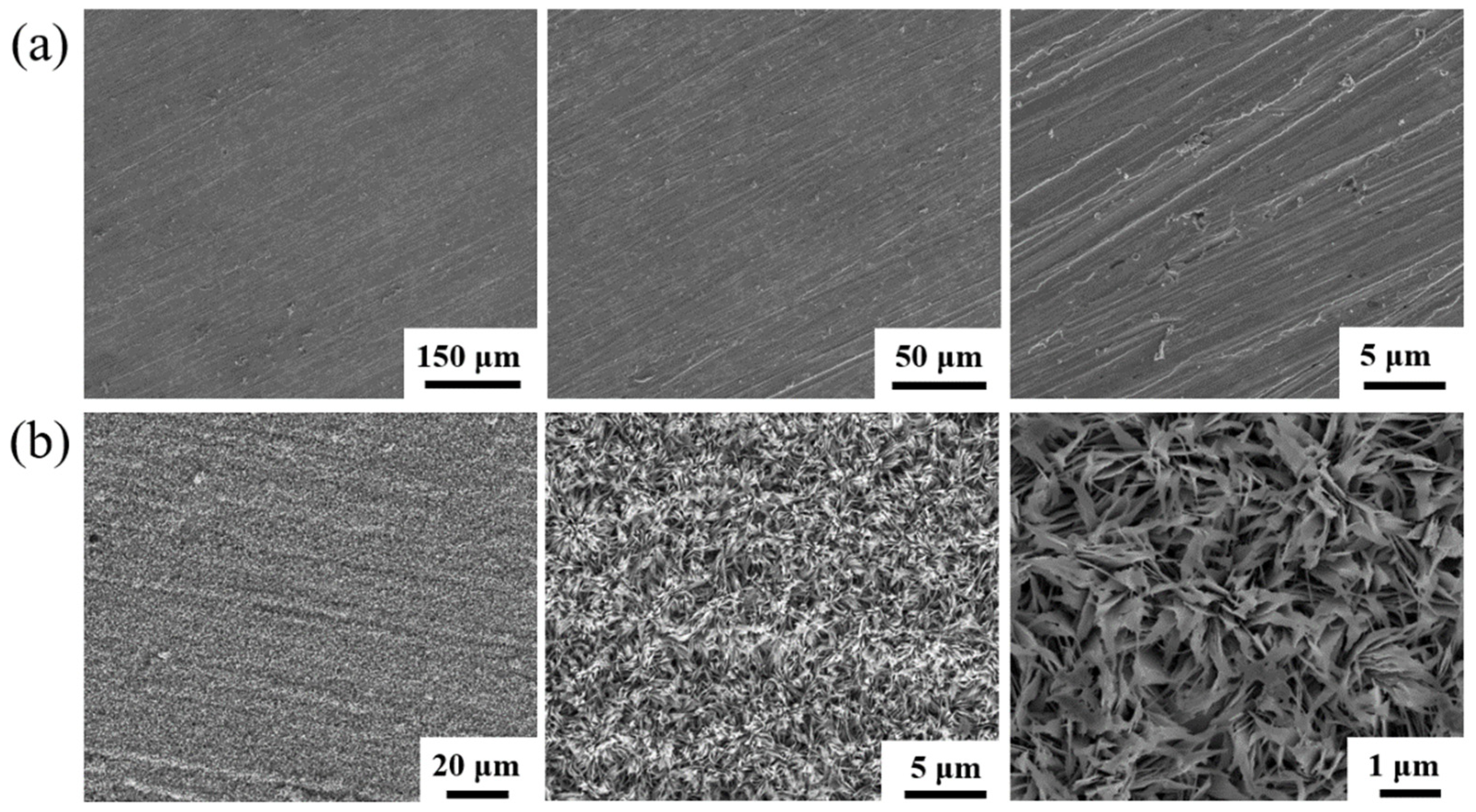 Coatings 11 01043 g001