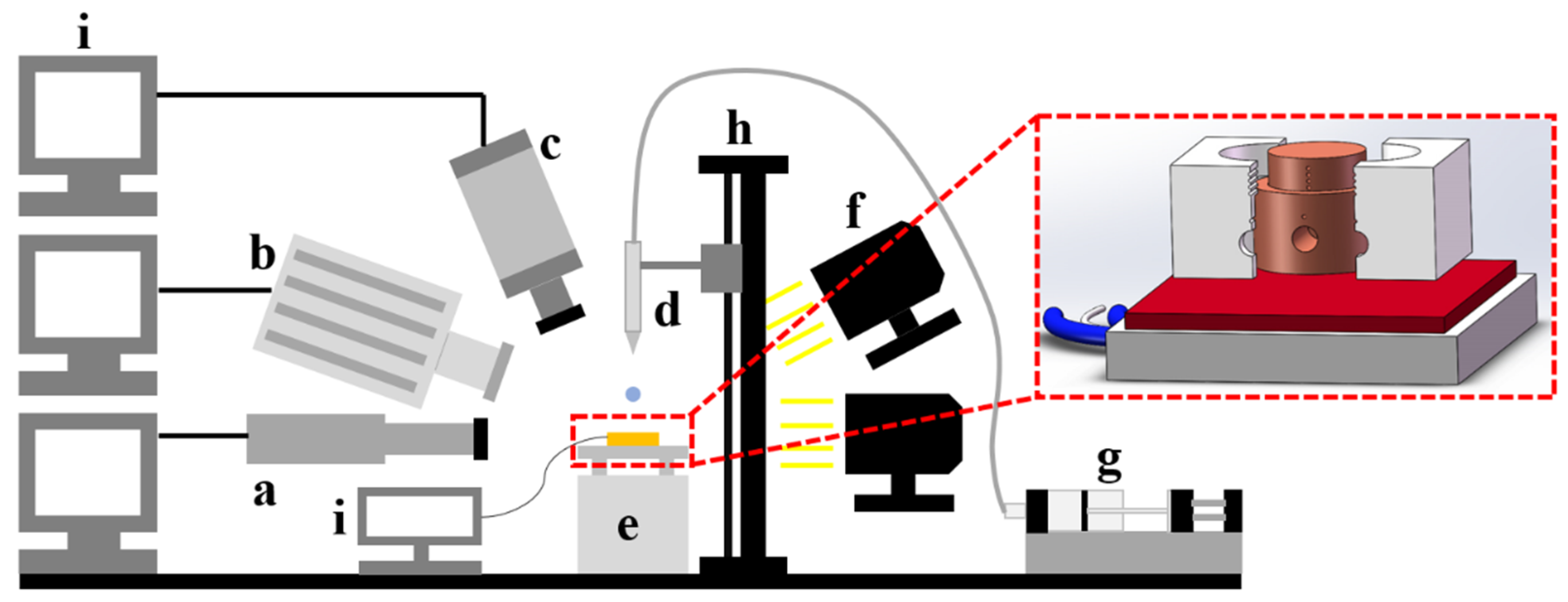 Coatings 11 01043 g003