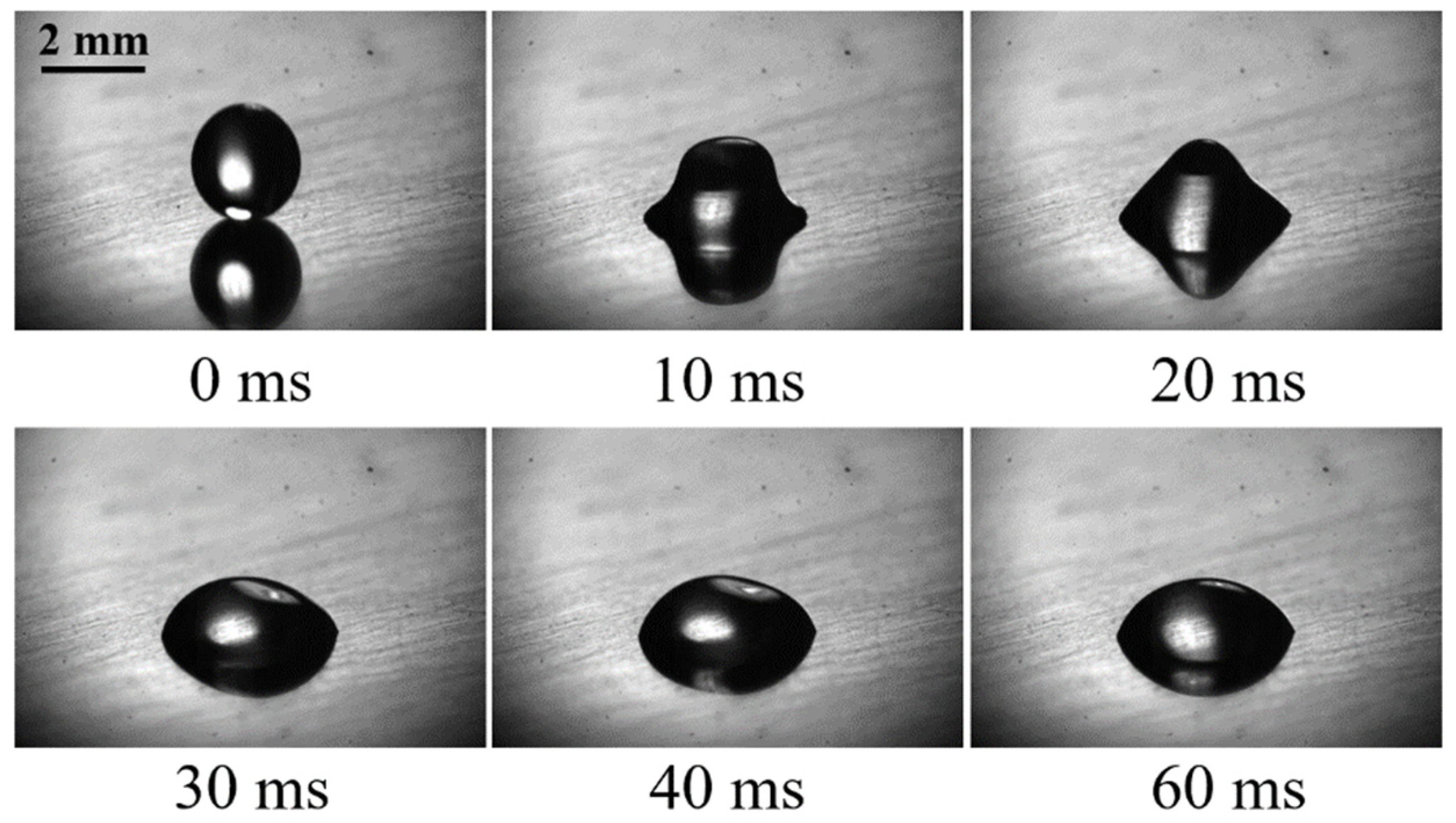 Coatings 11 01043 g004