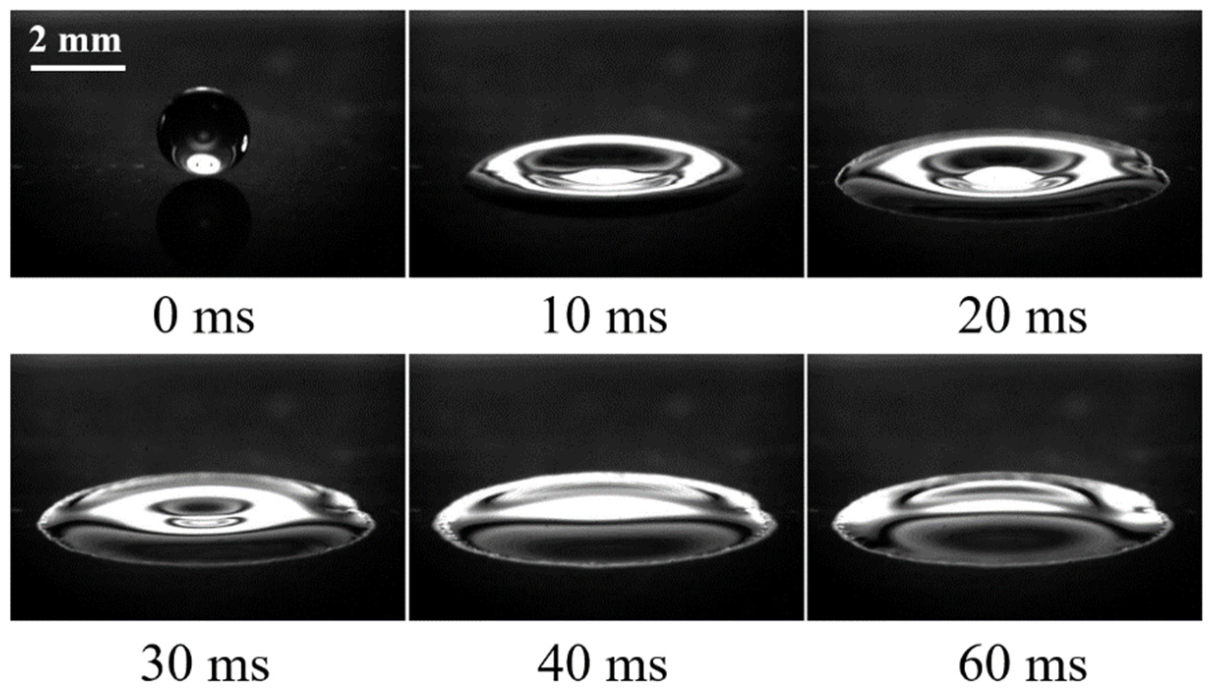 Coatings 11 01043 g006