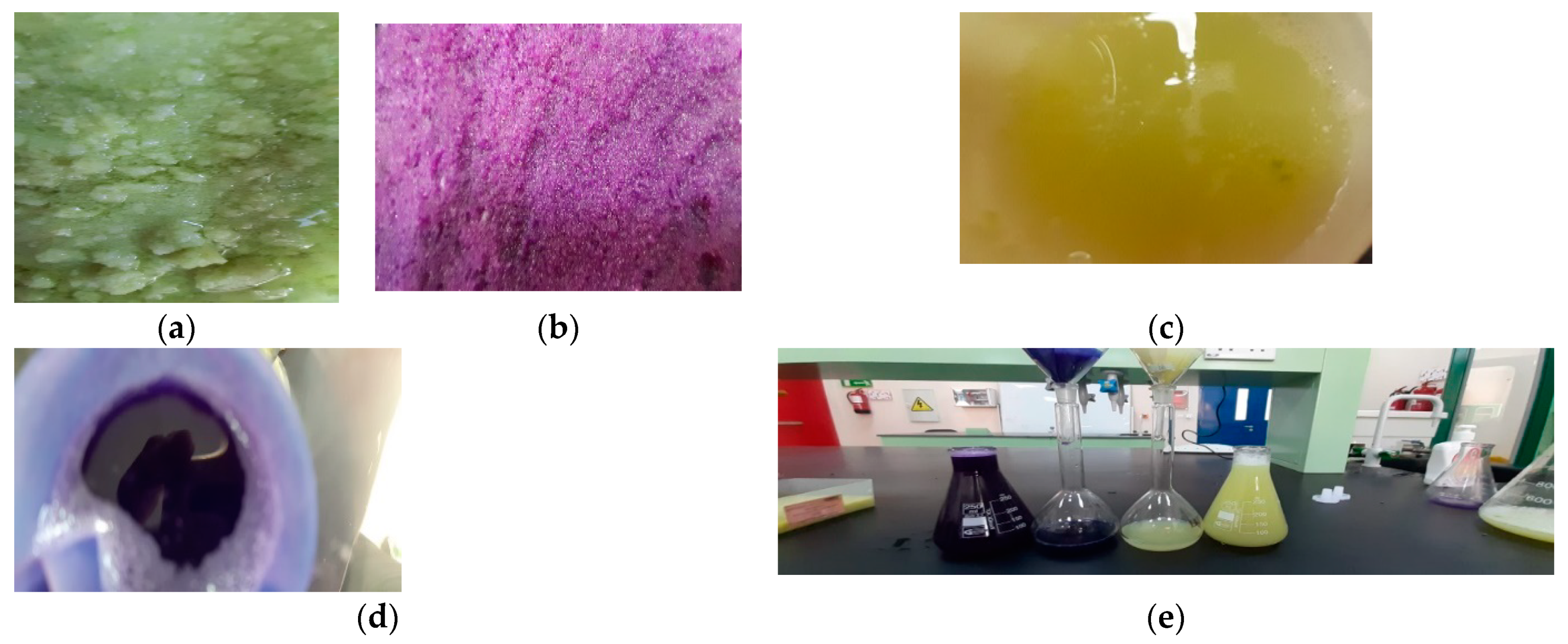 Coatings 11 01057 g002 Coatings 11 01057 g002