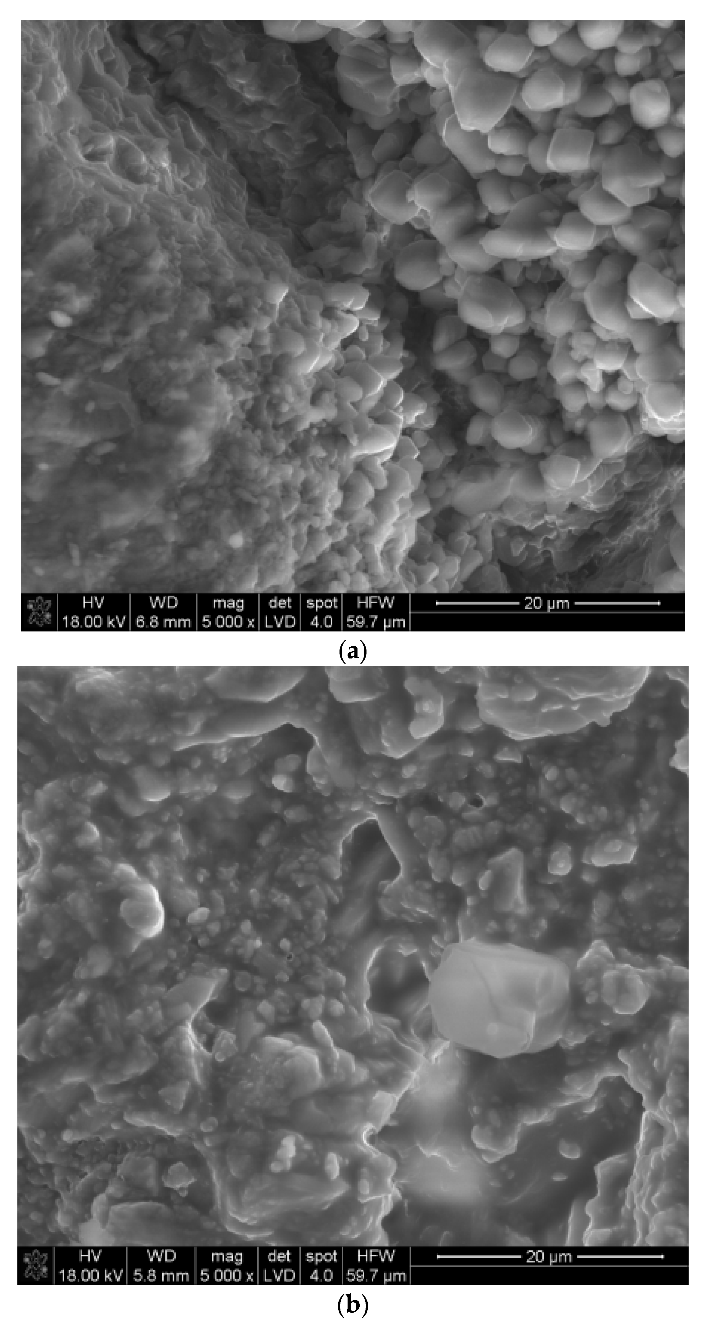 Coatings 11 01058 g007a