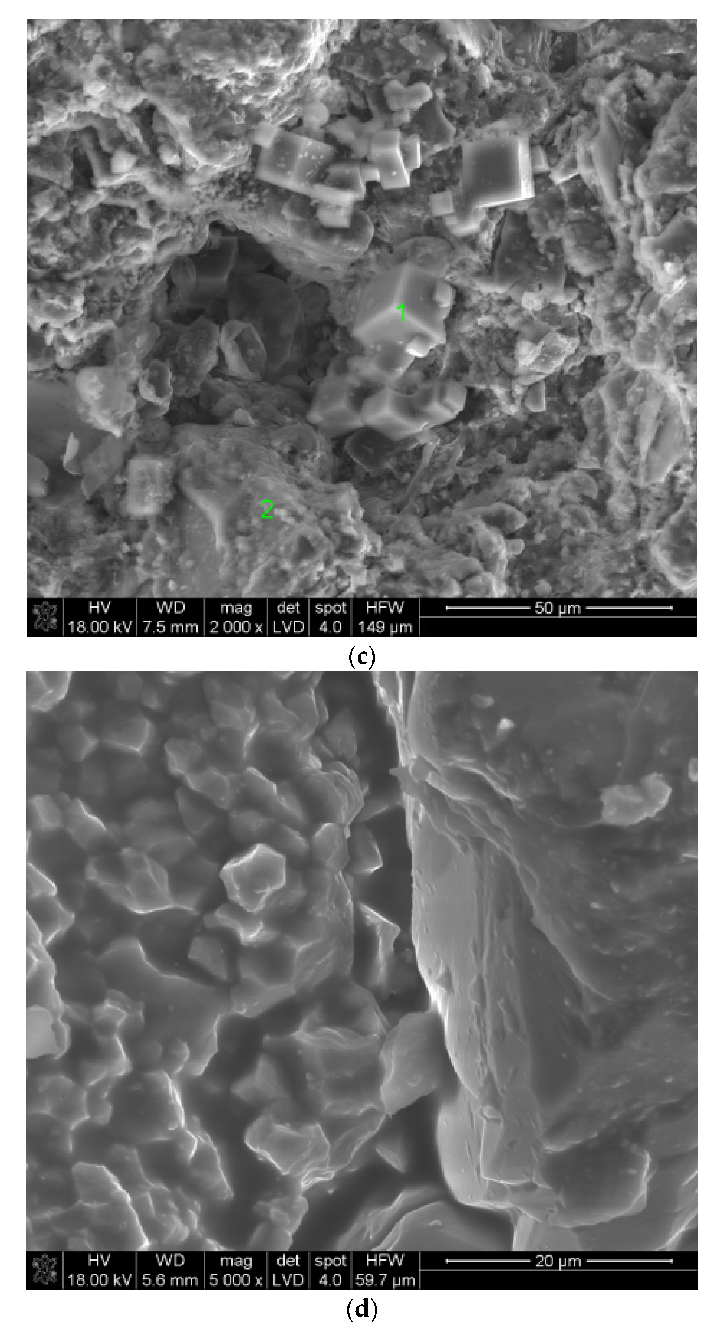 Coatings 11 01058 g007b