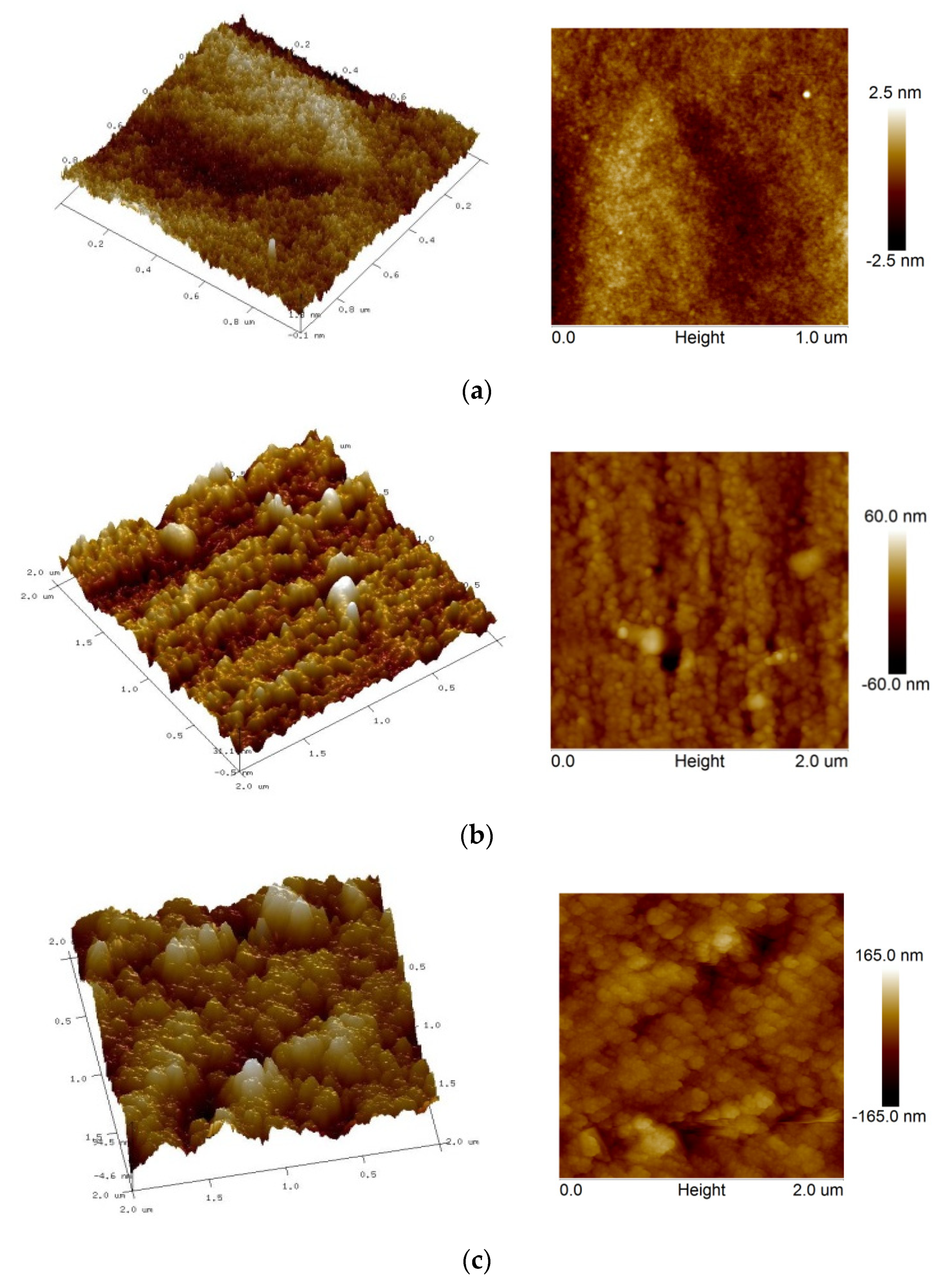 Coatings 11 01058 g011