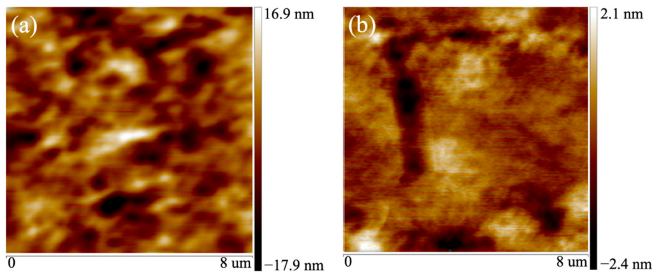 Coatings 11 01060 g005