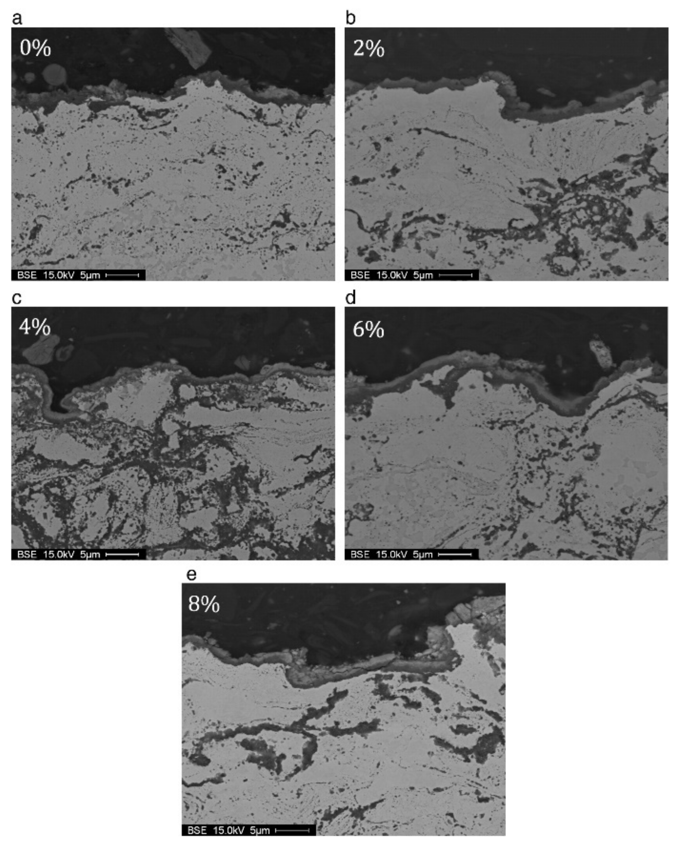 Coatings 11 01061 g002