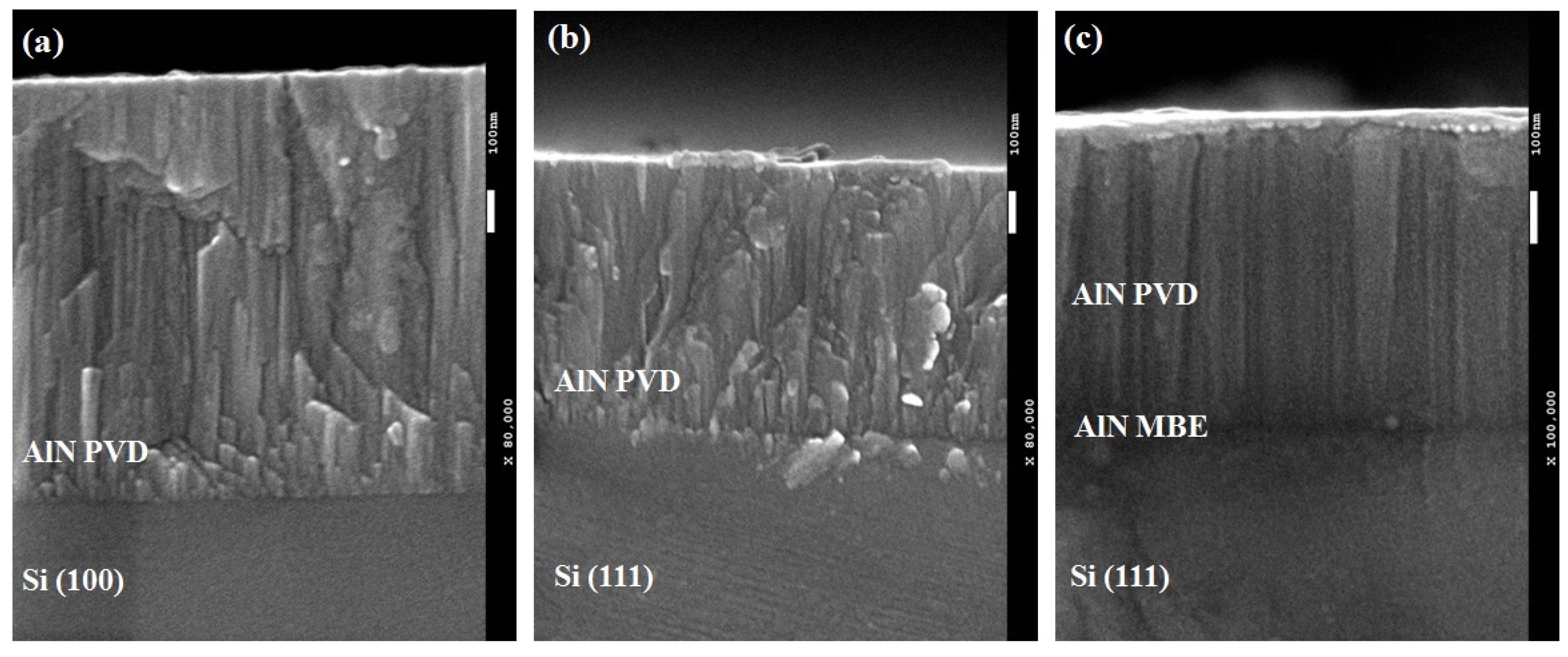 Coatings 11 01063 g004