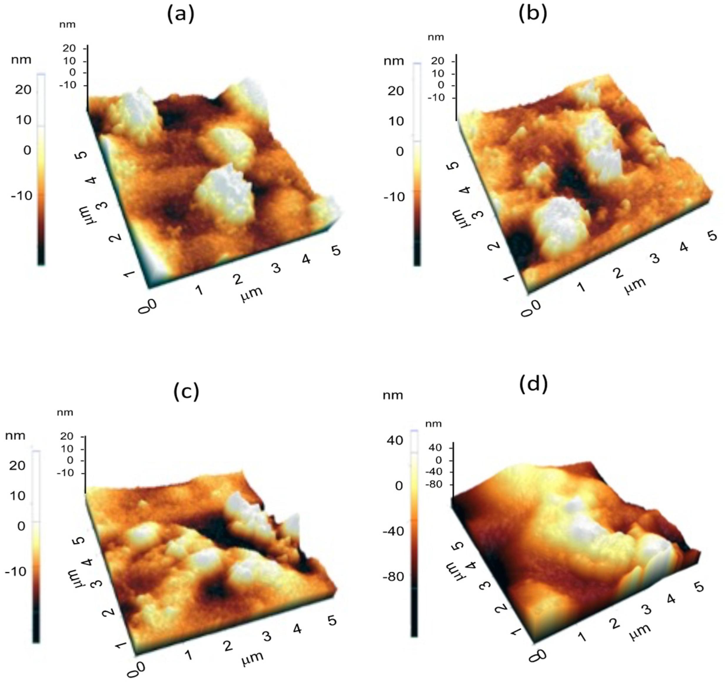 Coatings 11 01088 g003