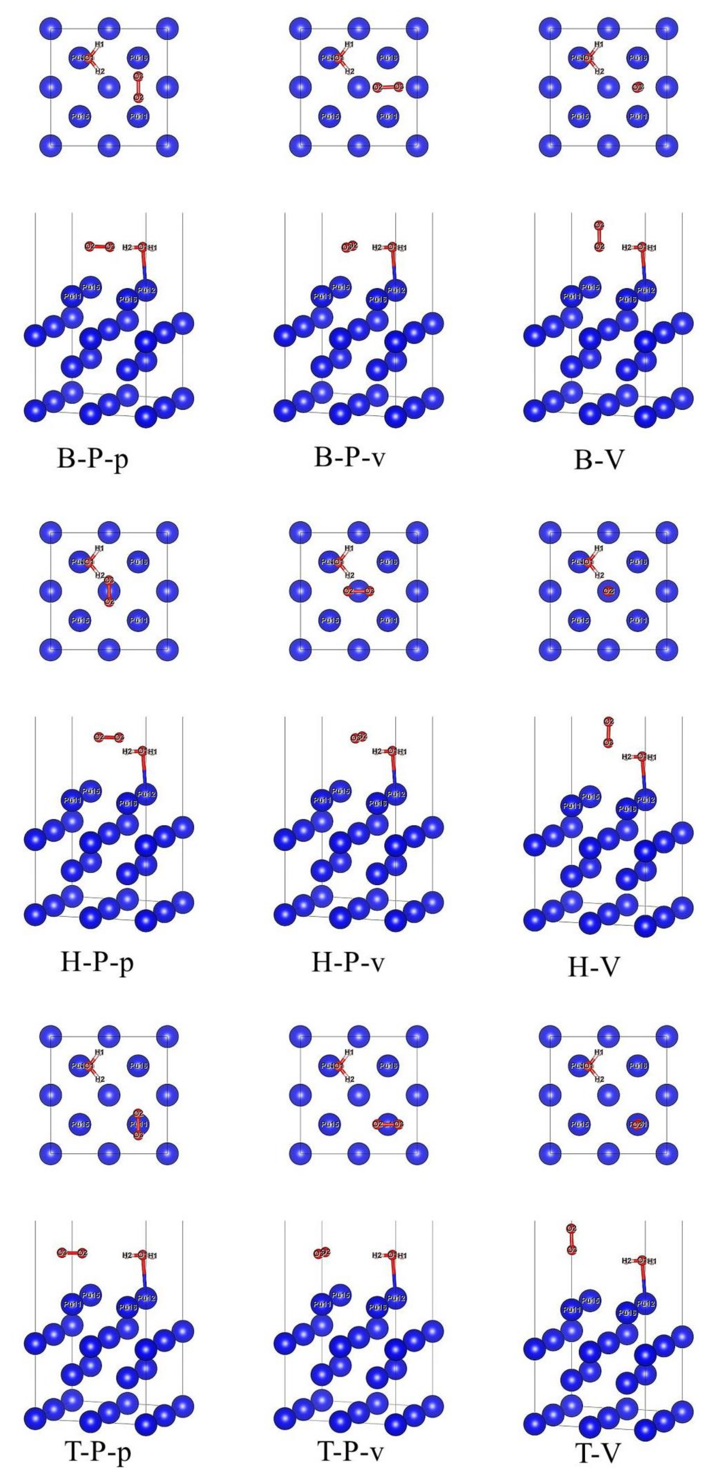 Coatings 11 01098 g002 Coatings 11 01098 g002