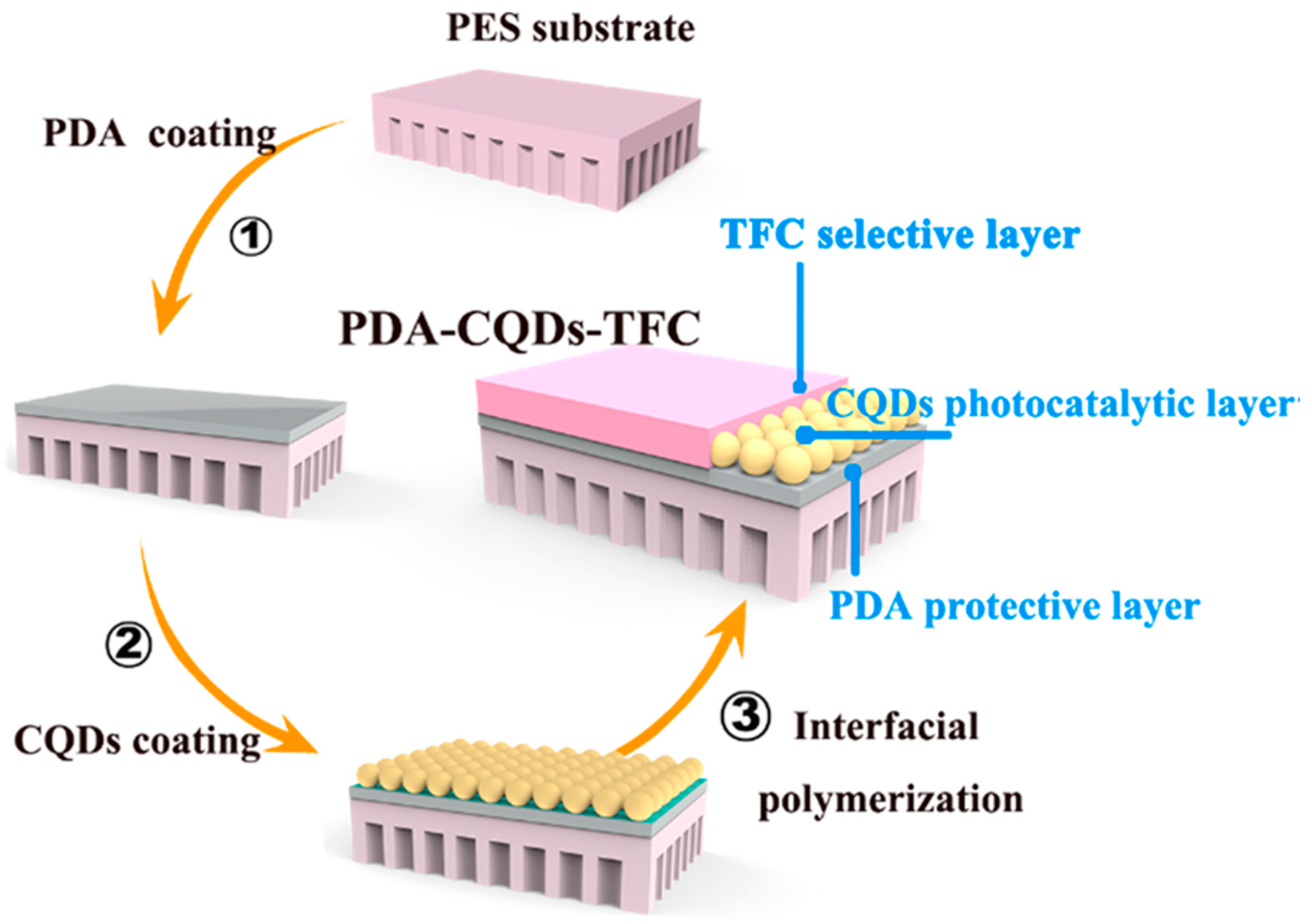 Coatings 11 01100 g010