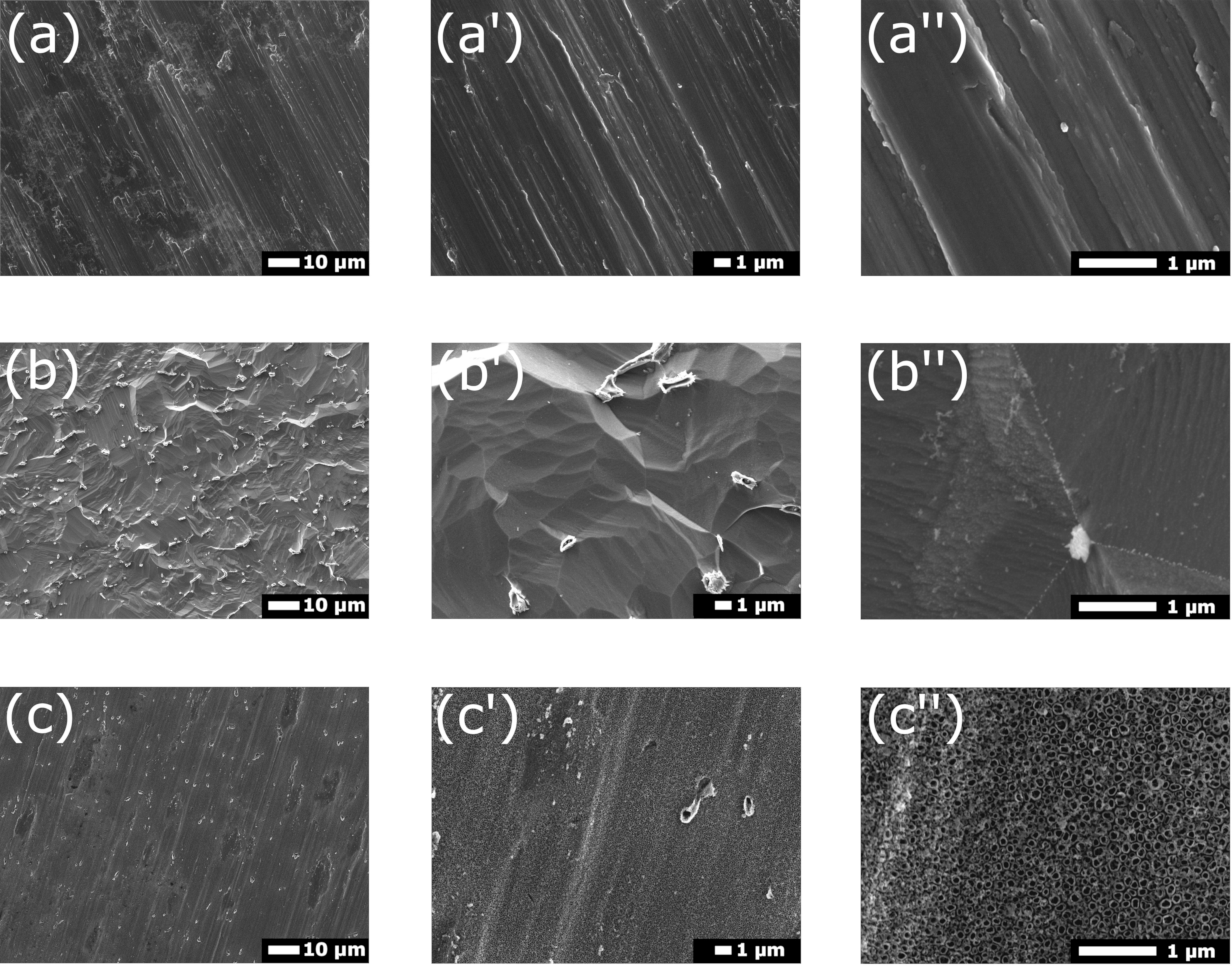 SEM images of: (a) polished and etched brass sample, (b) fractured