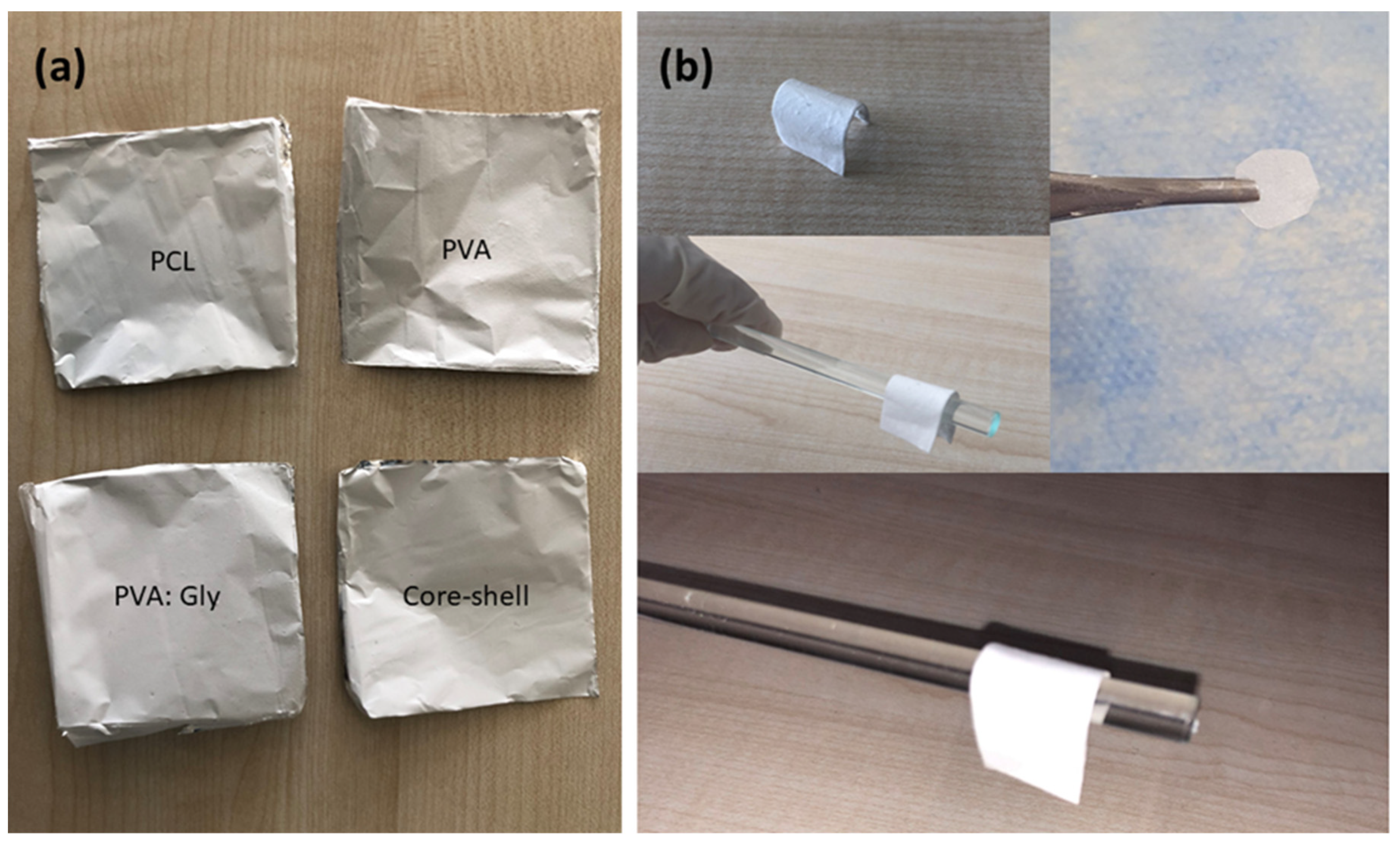 Coatings 11 01130 g002