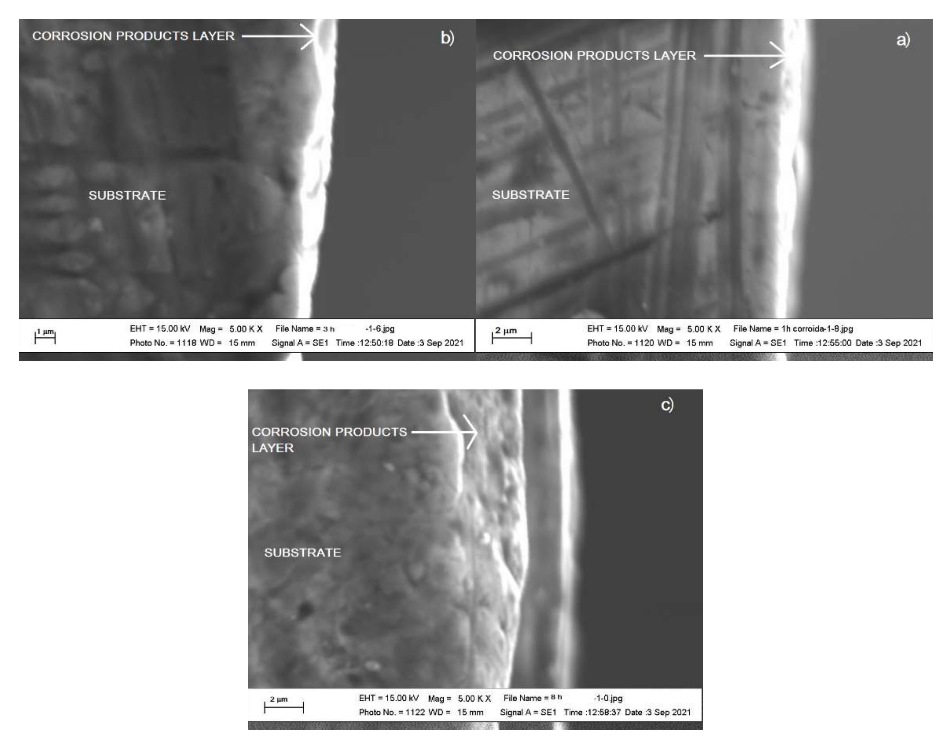 Coatings 11 01136 g011