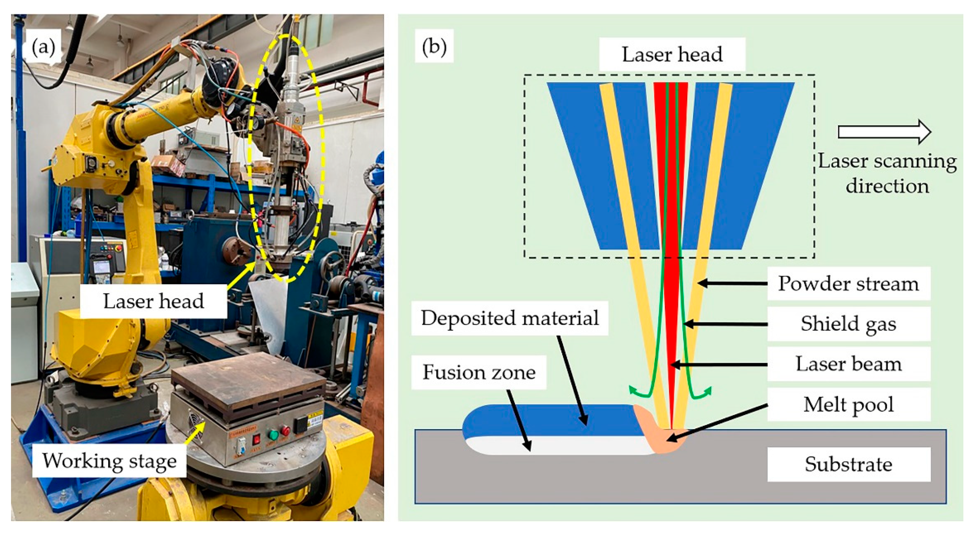 Coatings 11 01139 g002