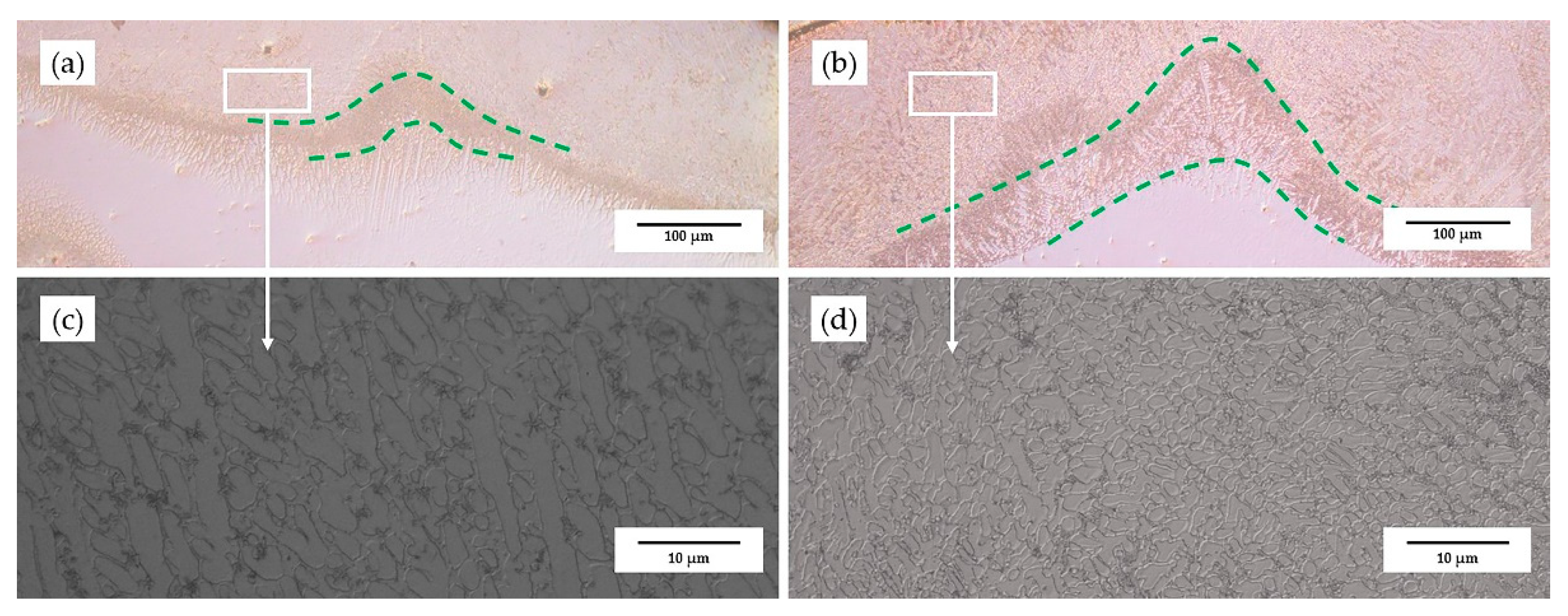 Coatings 11 01139 g007