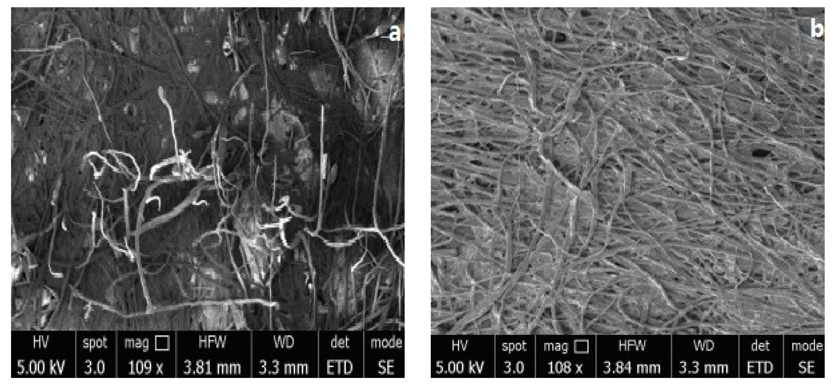 Coatings 11 01143 g009